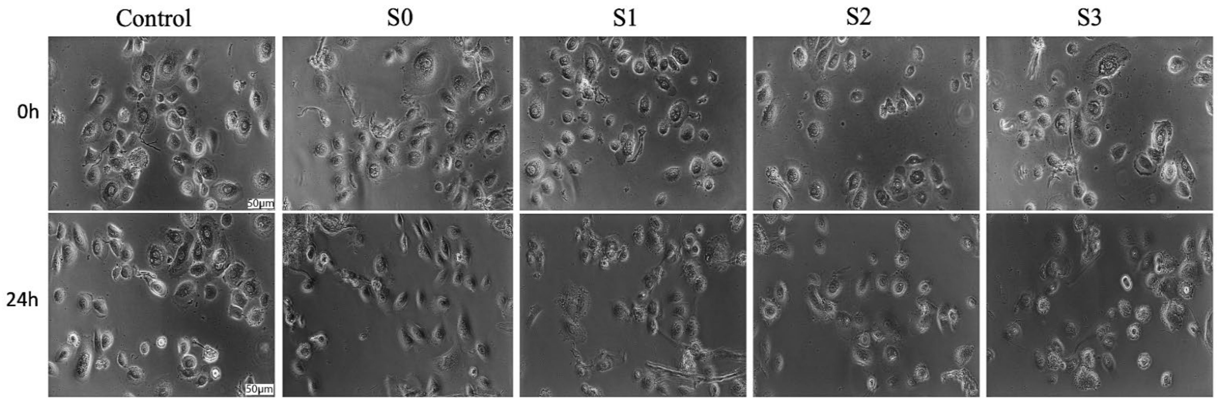 Materials 14 06215 g004