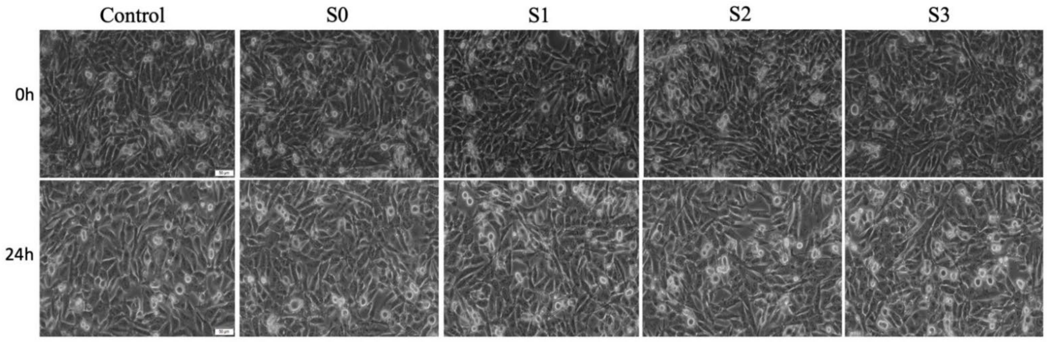 Materials 14 06215 g005