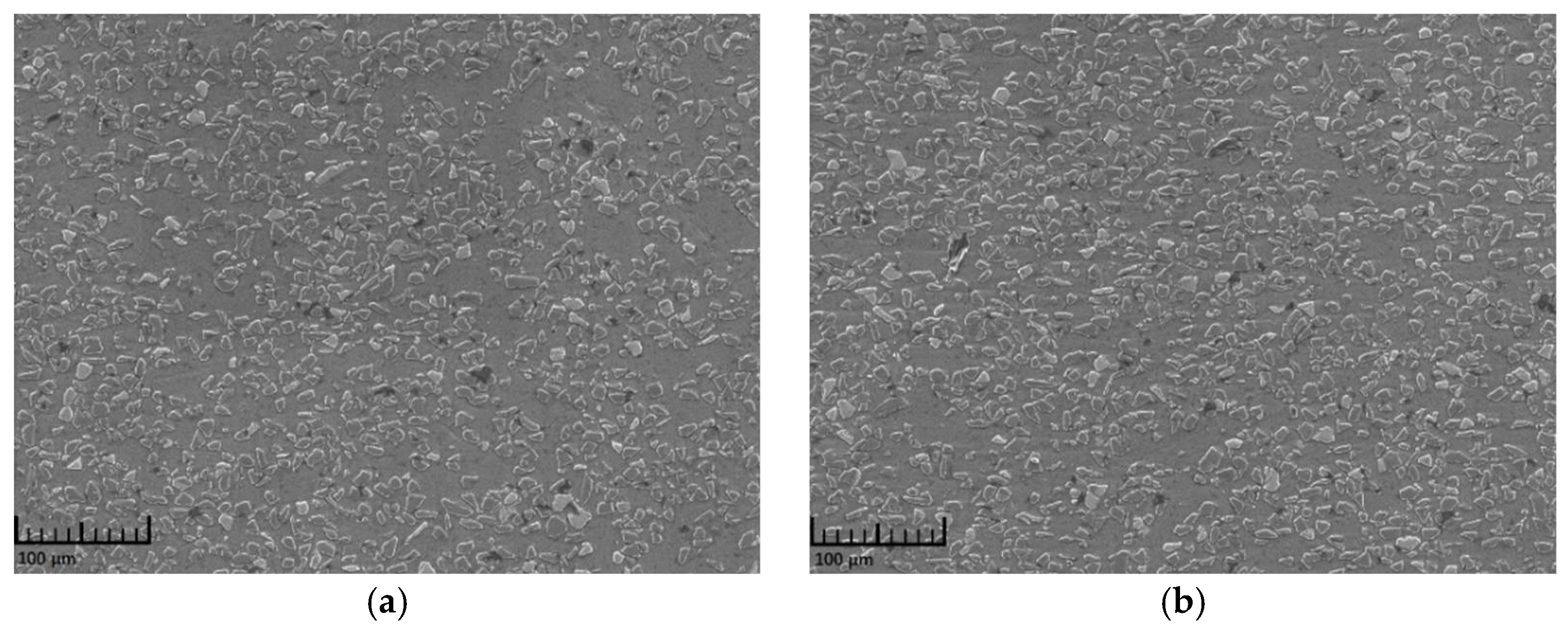 Materials 14 06244 g001