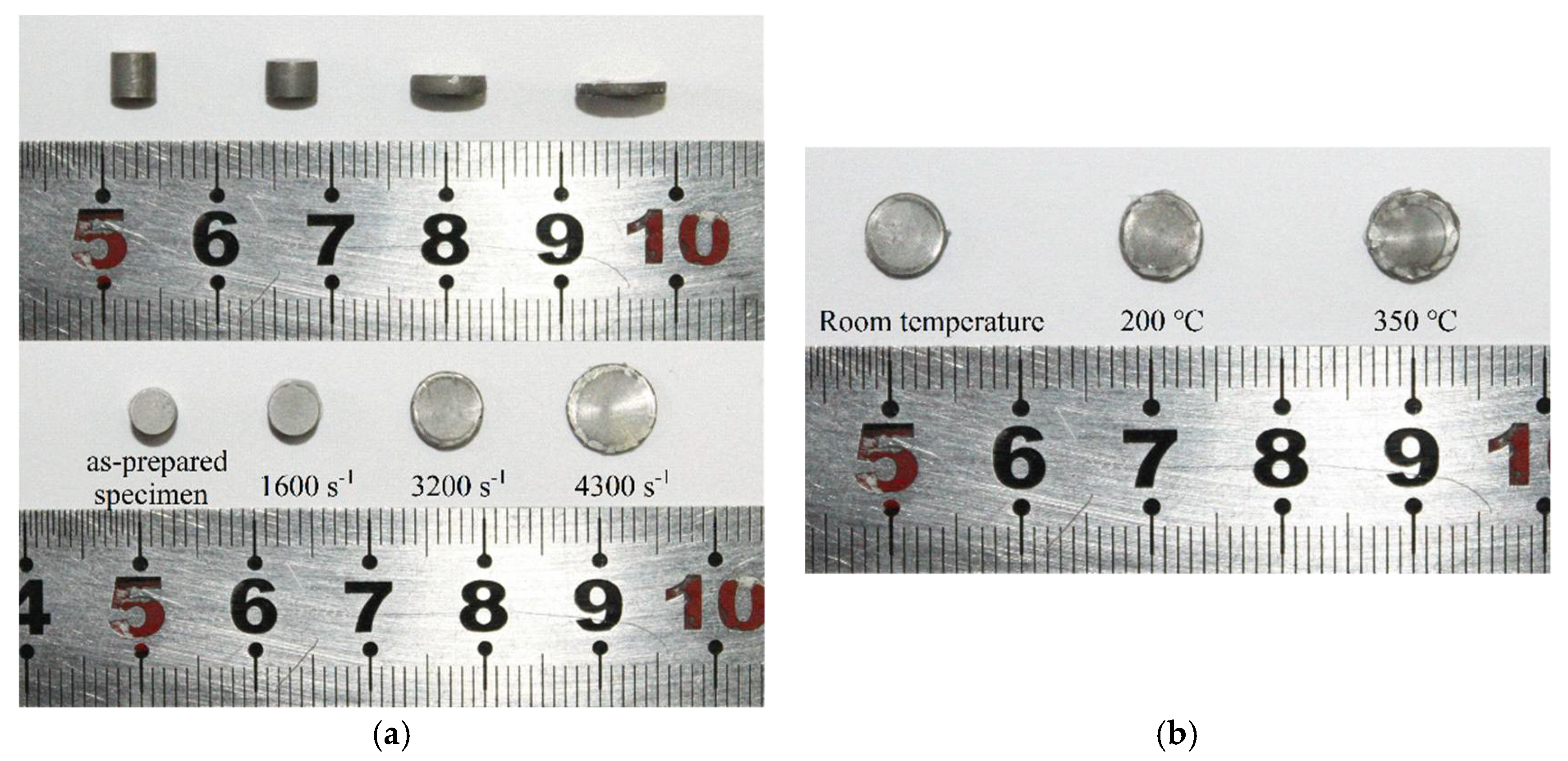 Materials 14 06244 g008