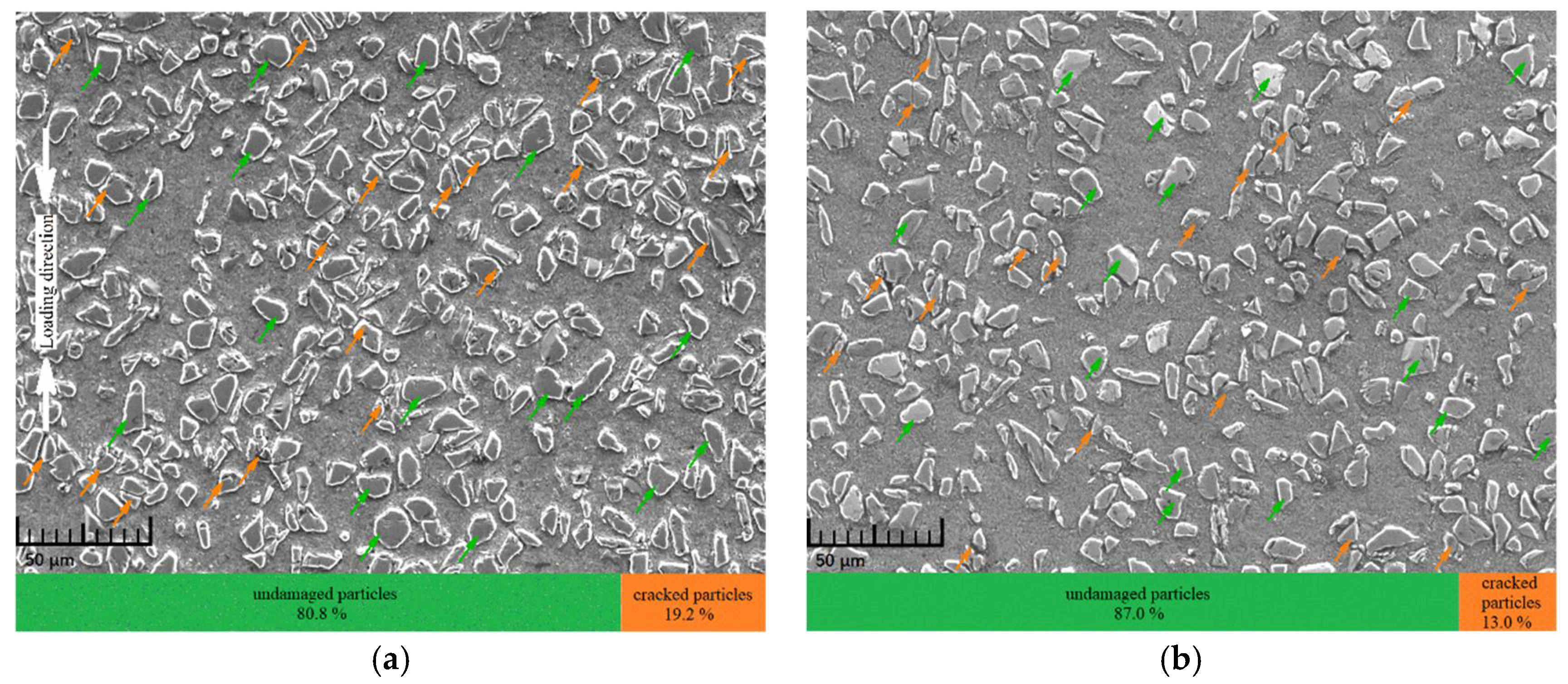Materials 14 06244 g010