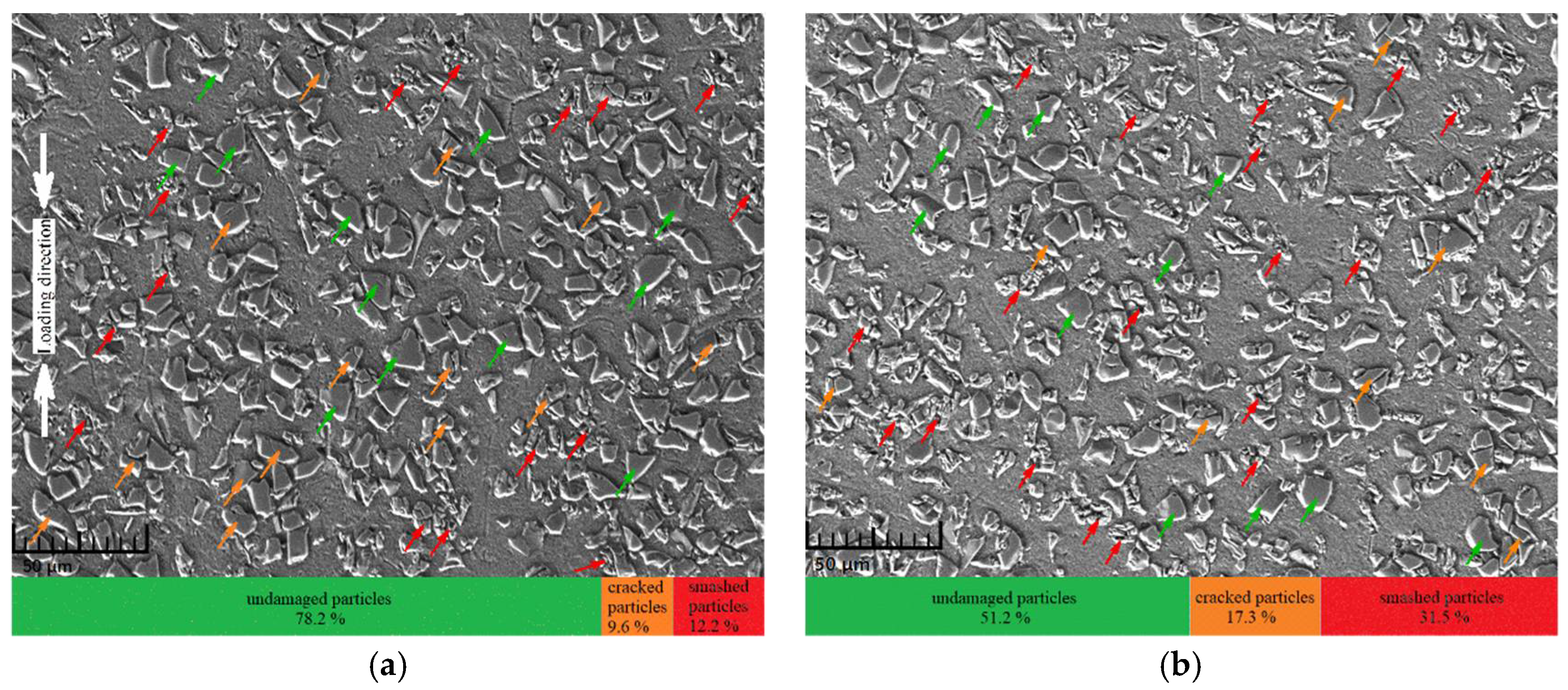 Materials 14 06244 g012