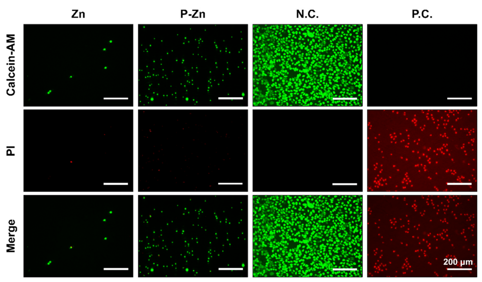 Materials 14 06247 g003
