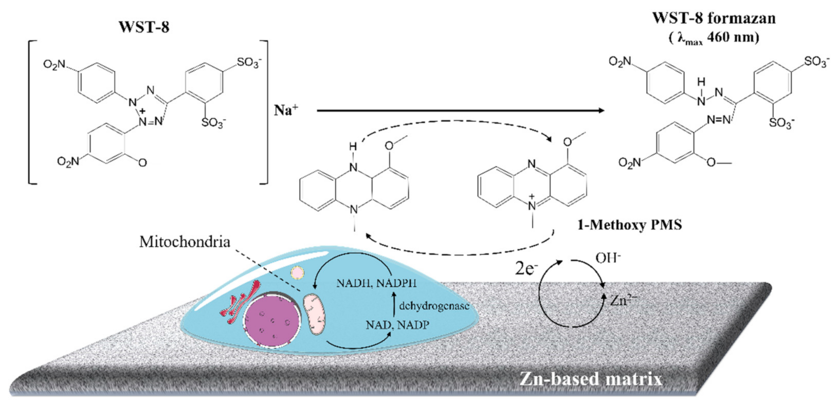 Materials 14 06247 g006