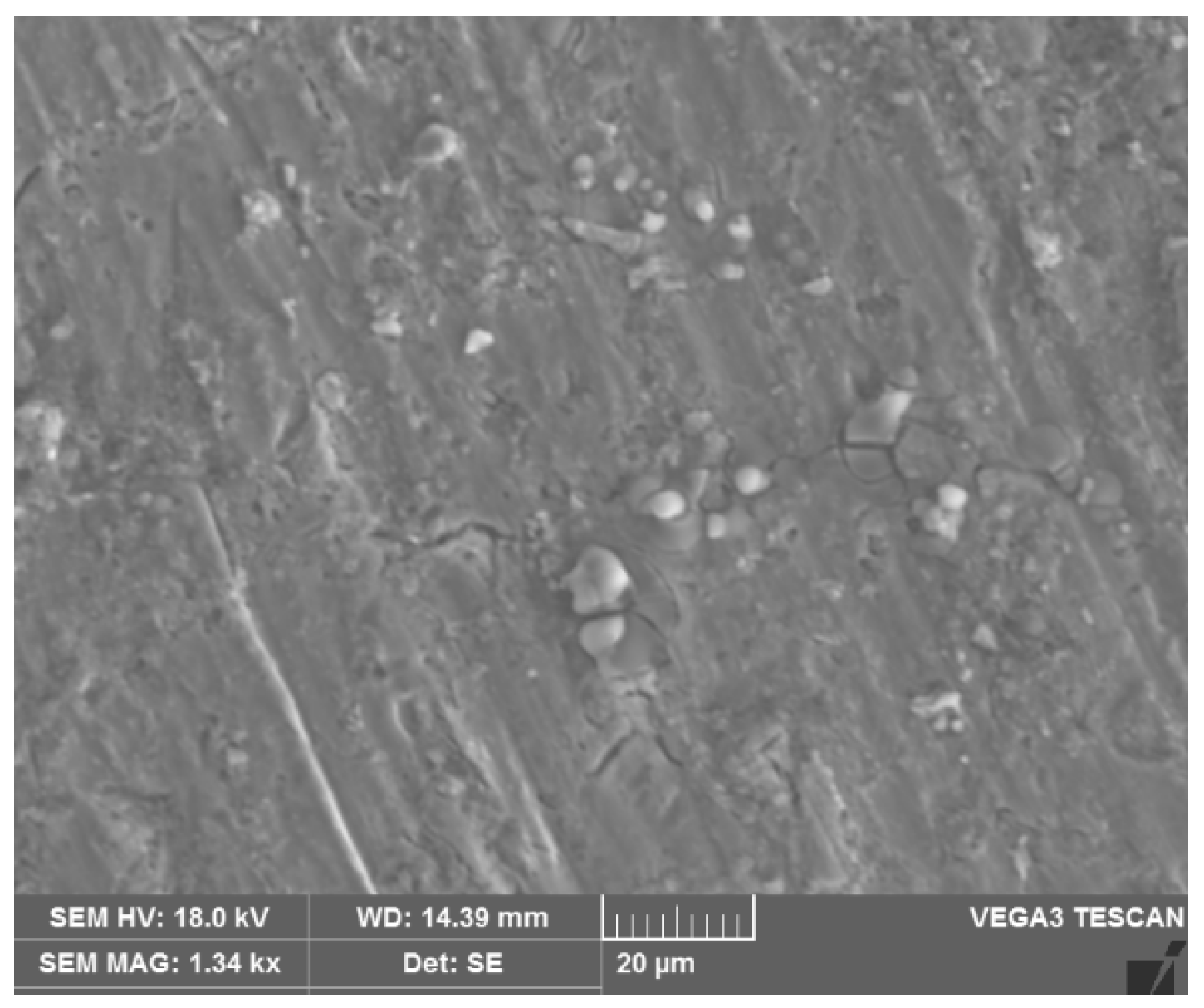 Materials 14 06250 g001