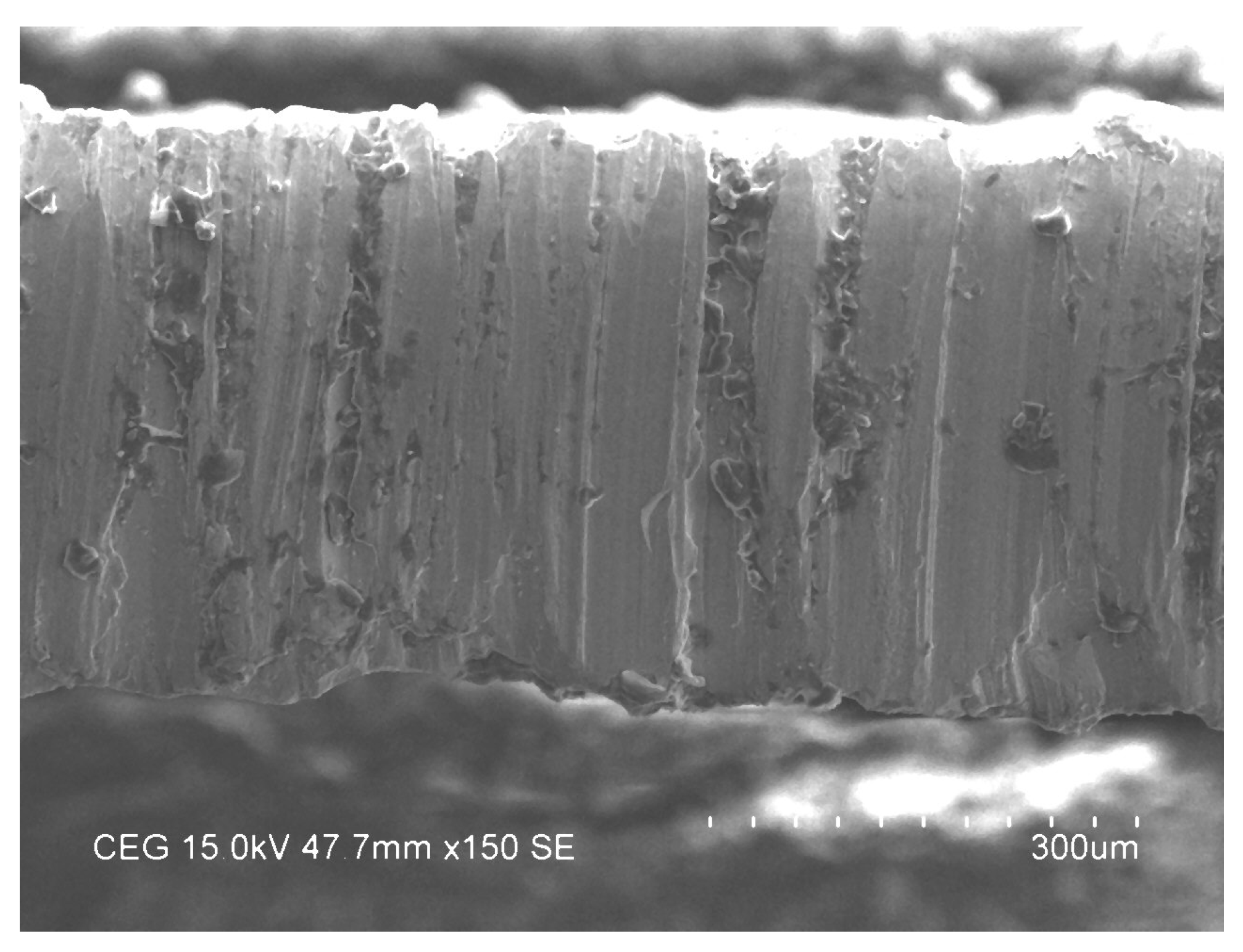 Materials 14 06250 g012