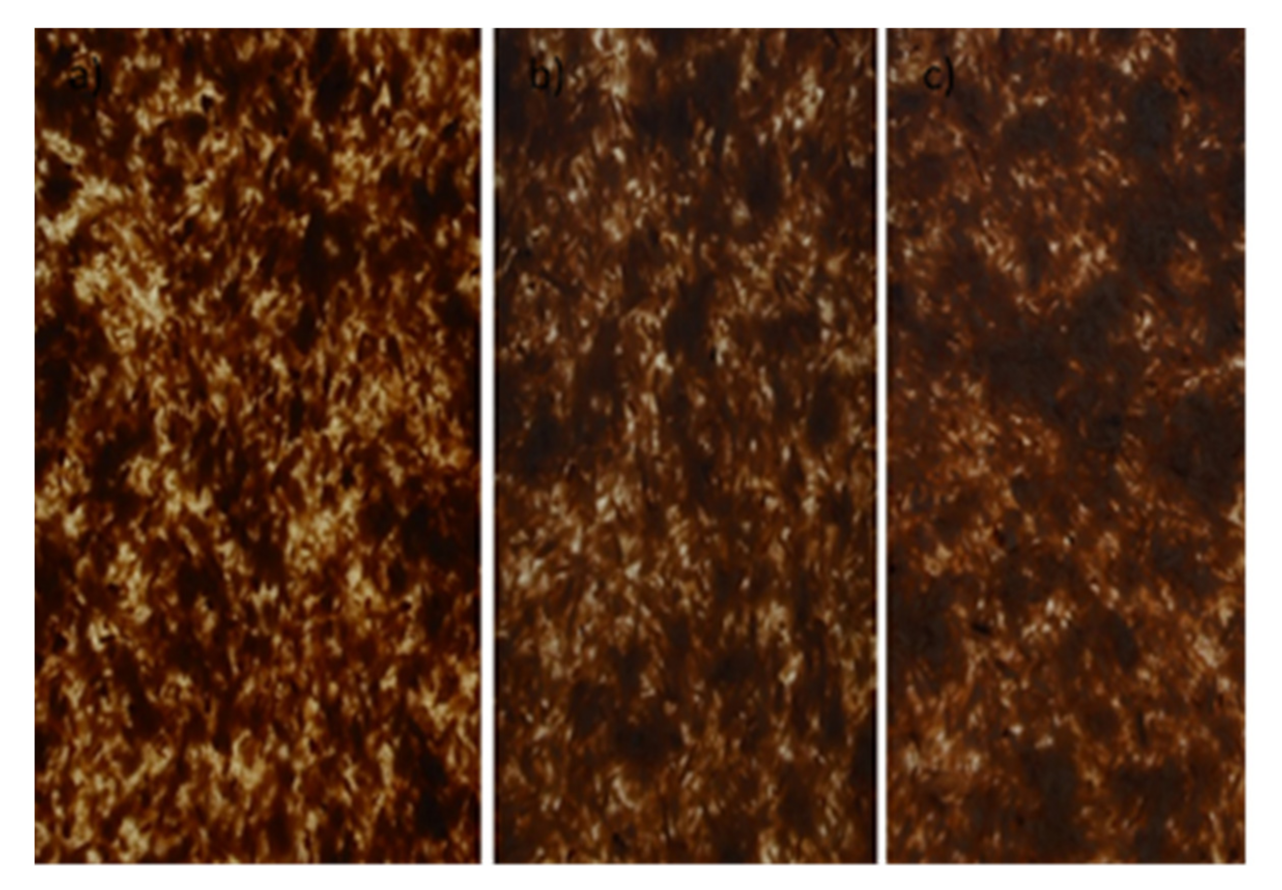 Materials 14 06251 g002