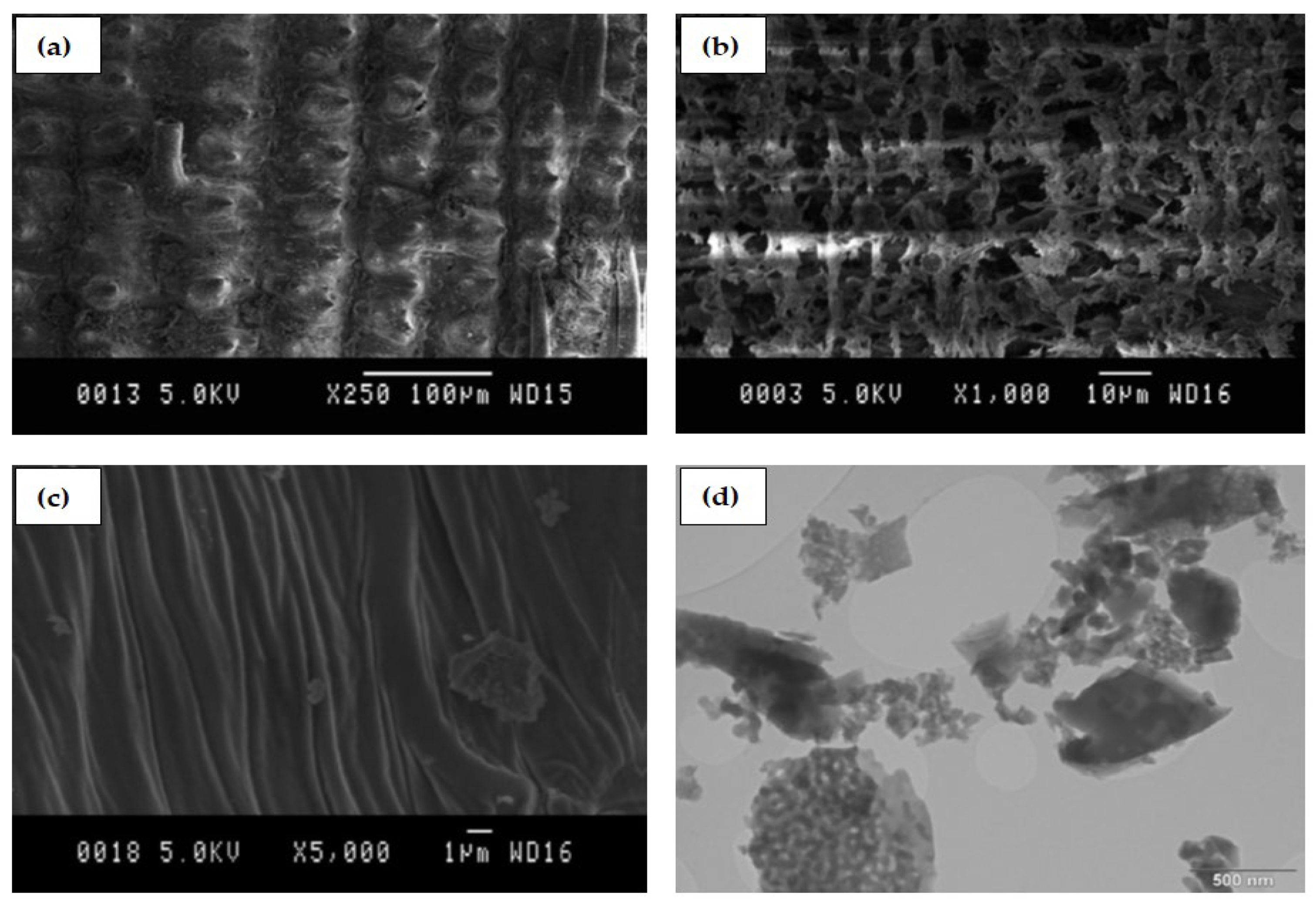 Materials 14 06252 g001