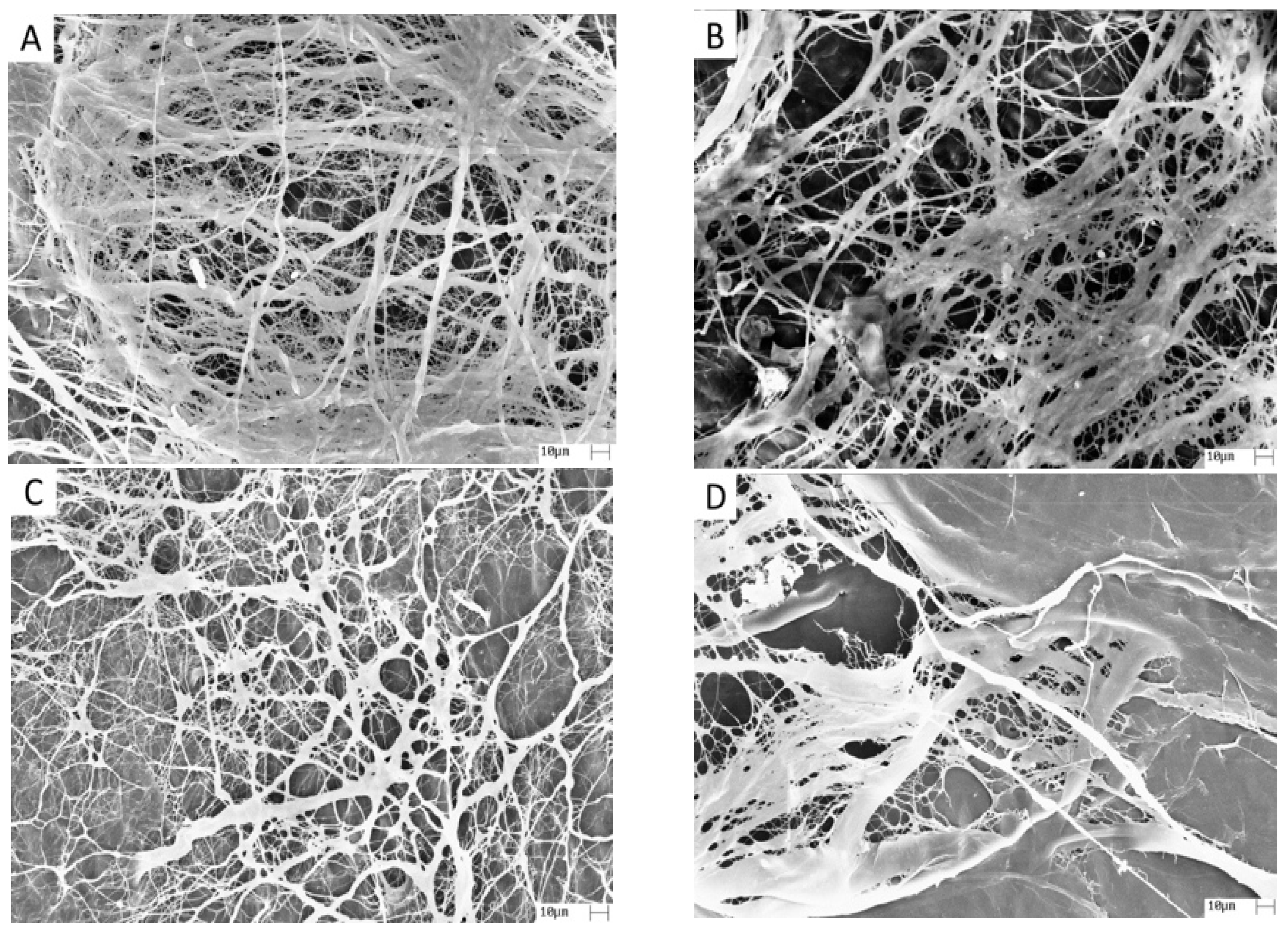 Materials 14 06255 g001