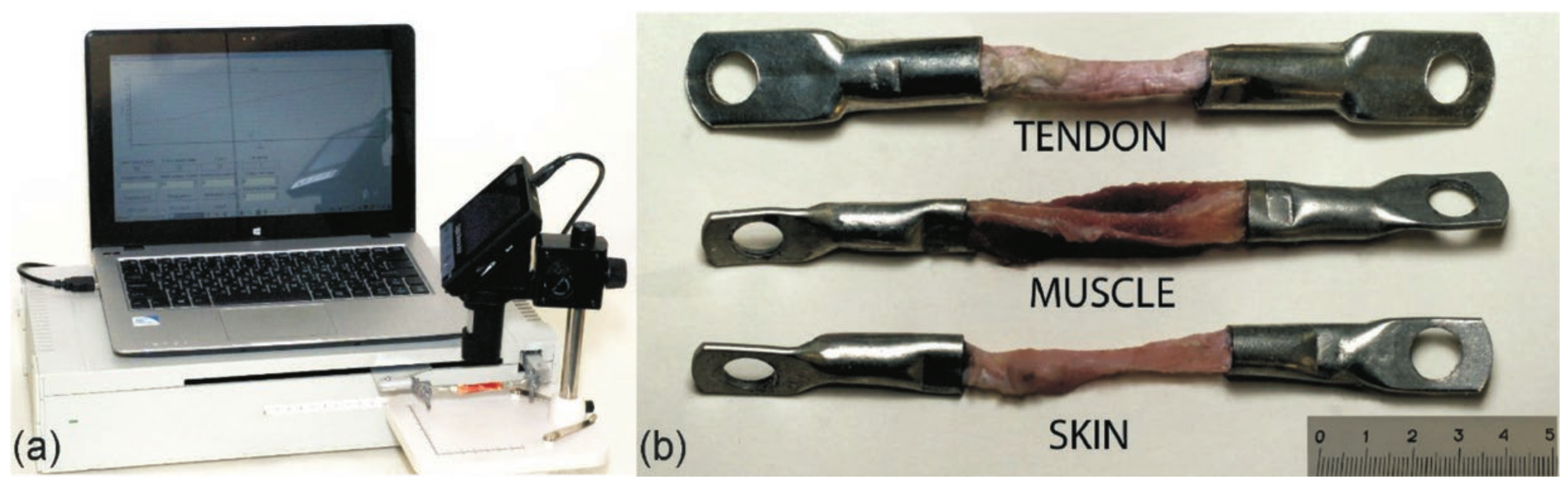 Materials 14 06256 g002