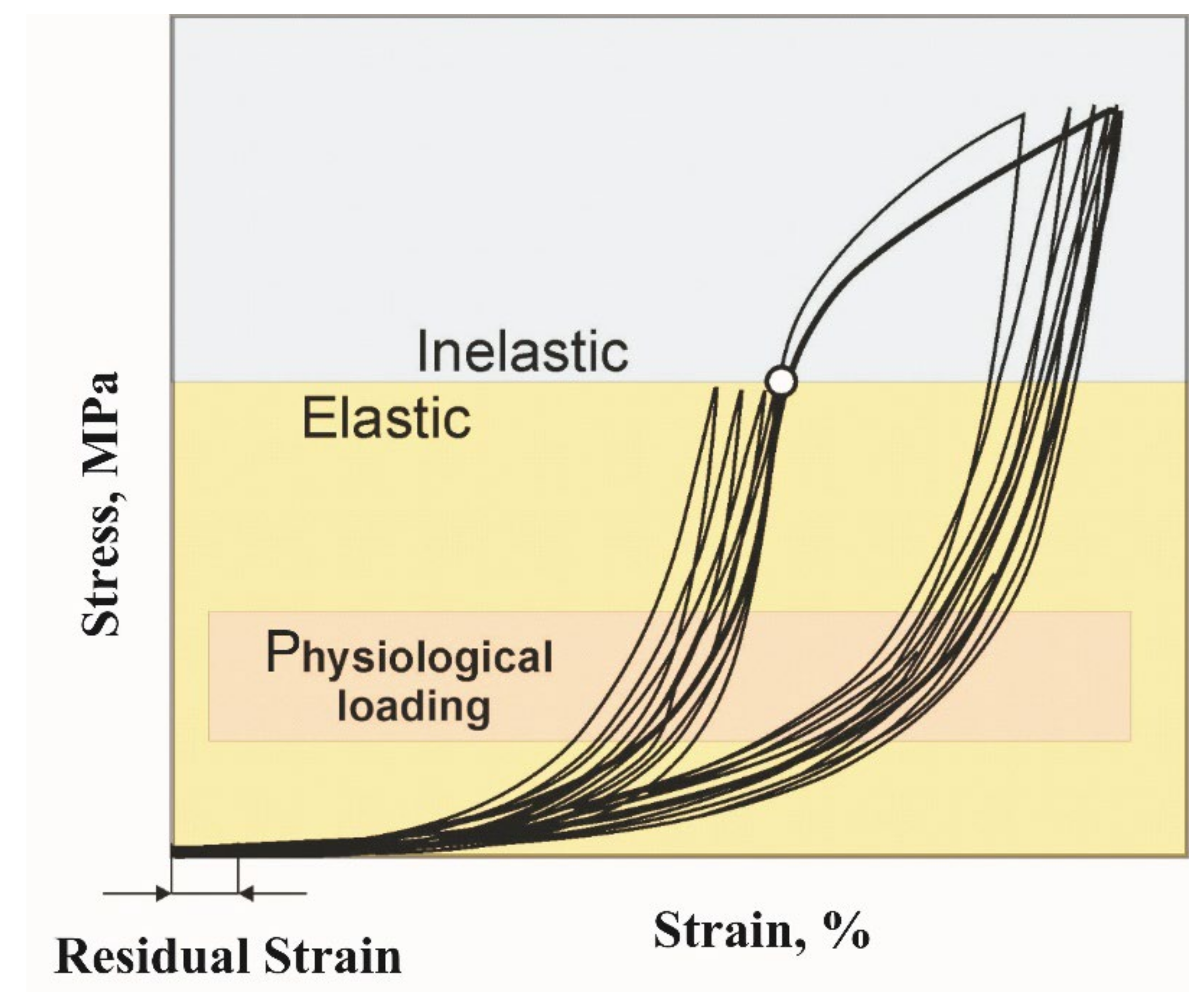 Materials 14 06256 g003