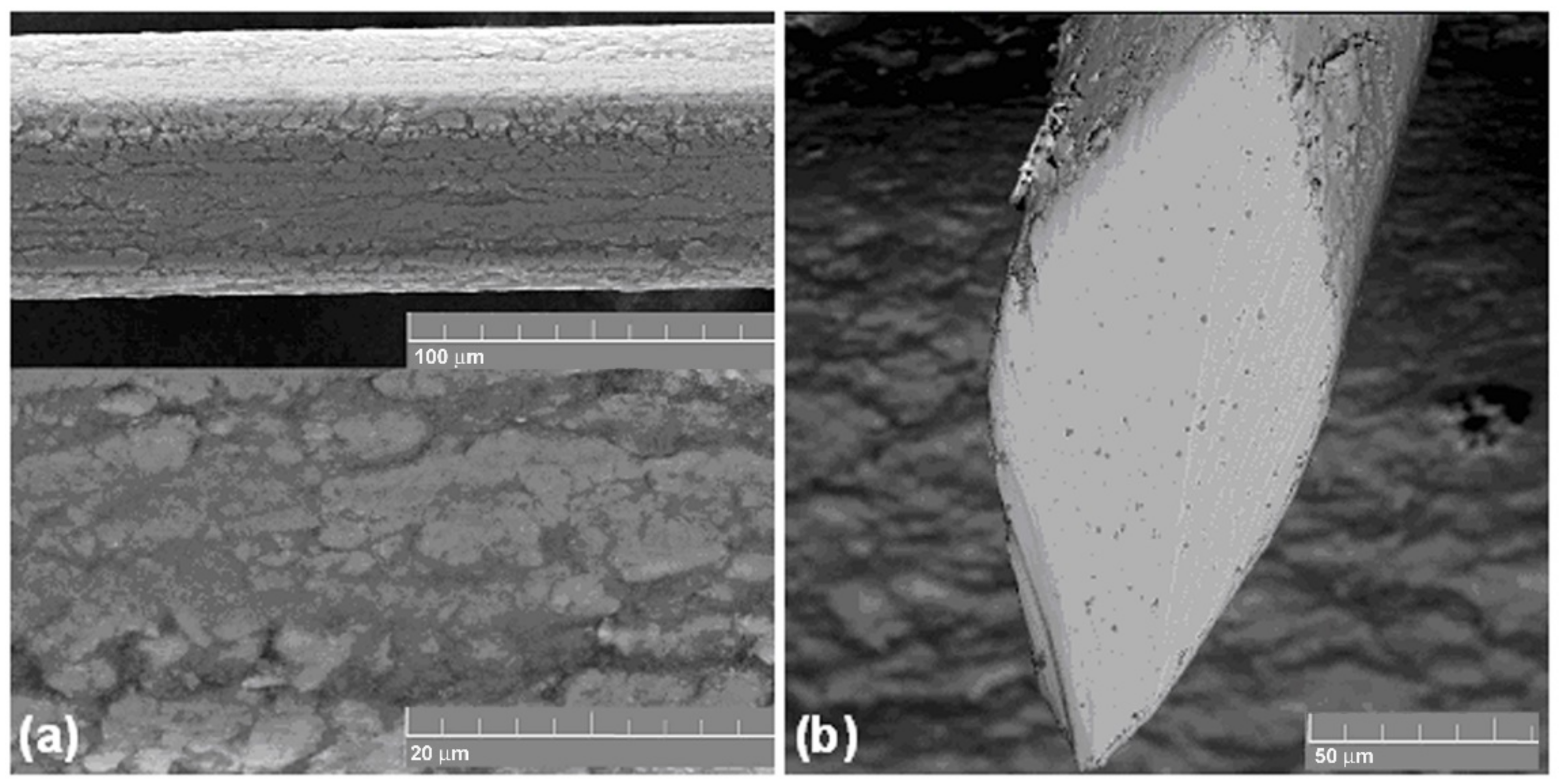 Materials 14 06256 g009