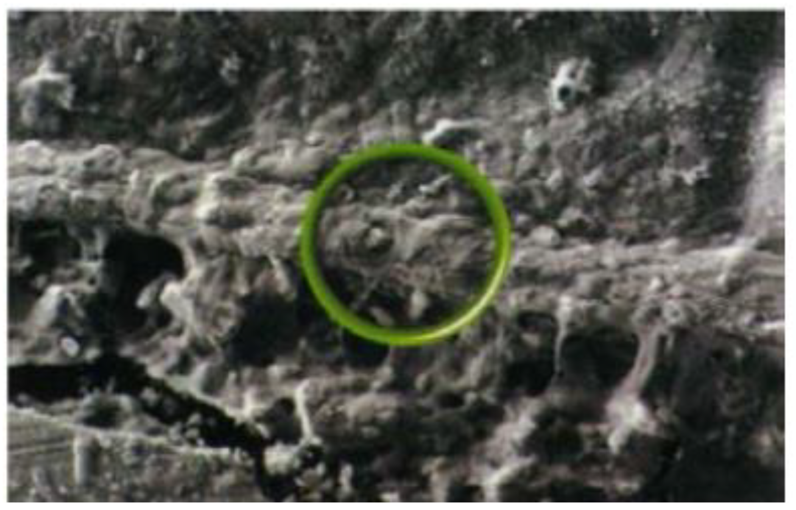 Materials 14 06260 g002 Materials 14 06260 g002