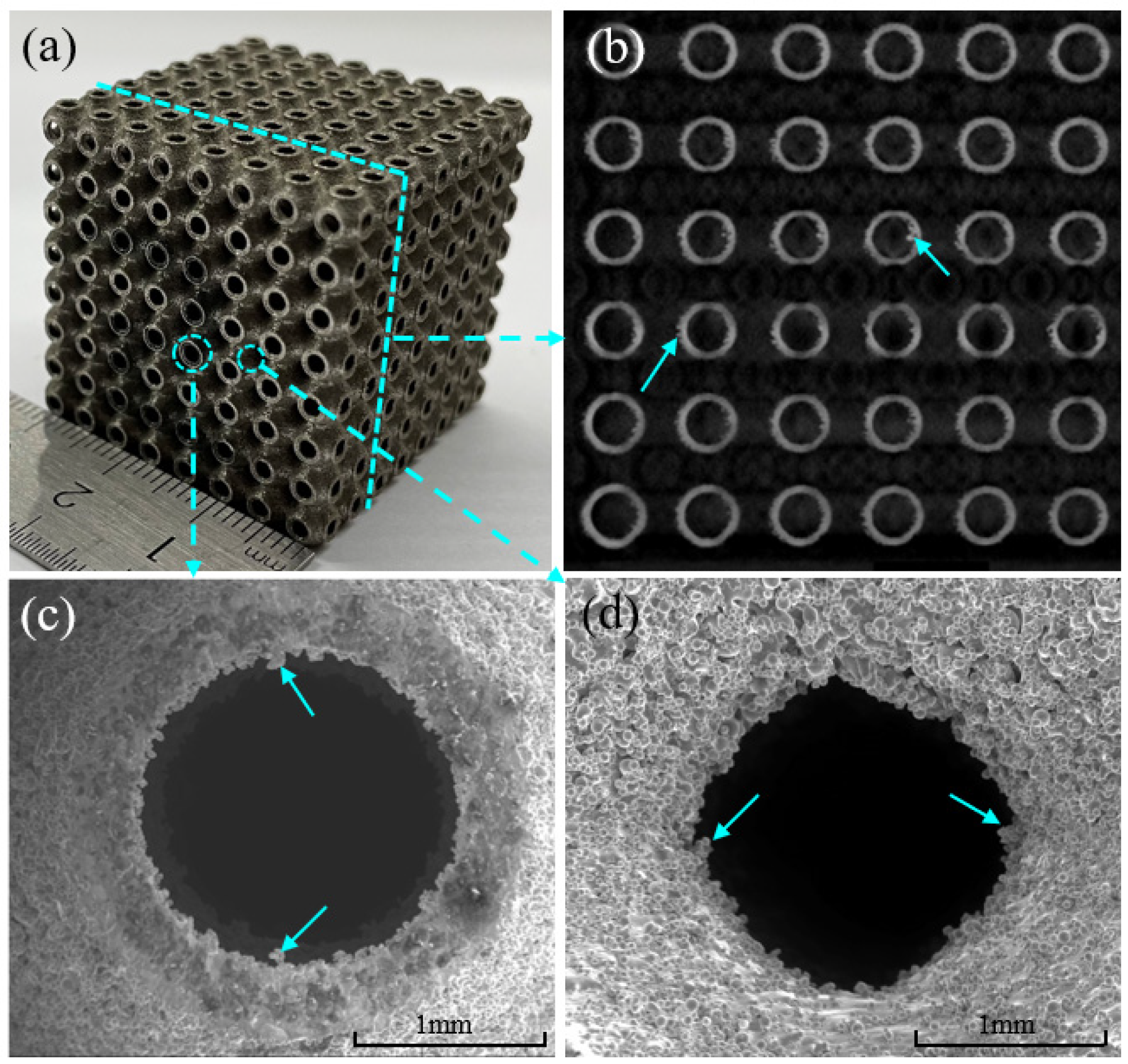 Materials 14 06262 g002