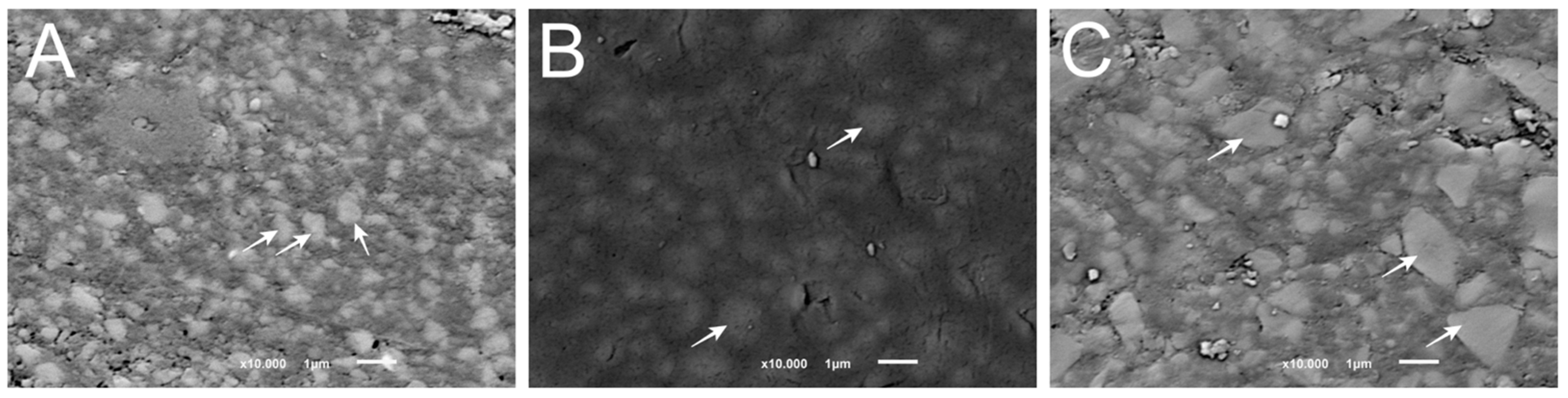 Materials 14 06267 g002