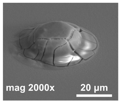 Materials 14 06269 i001