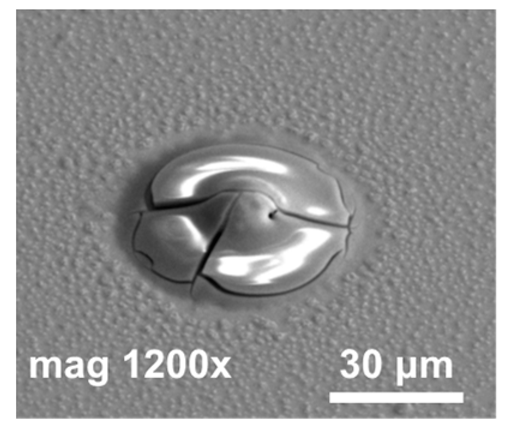 Materials 14 06269 i002