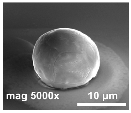 Materials 14 06269 i003