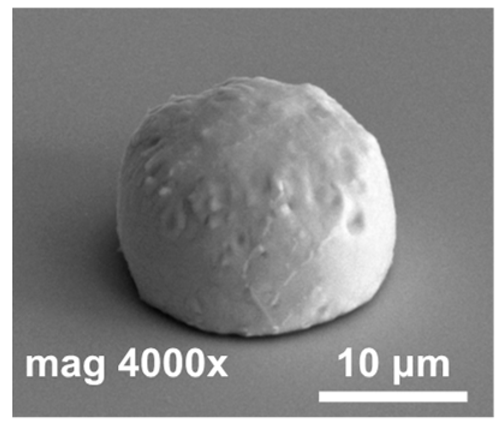 Materials 14 06269 i004