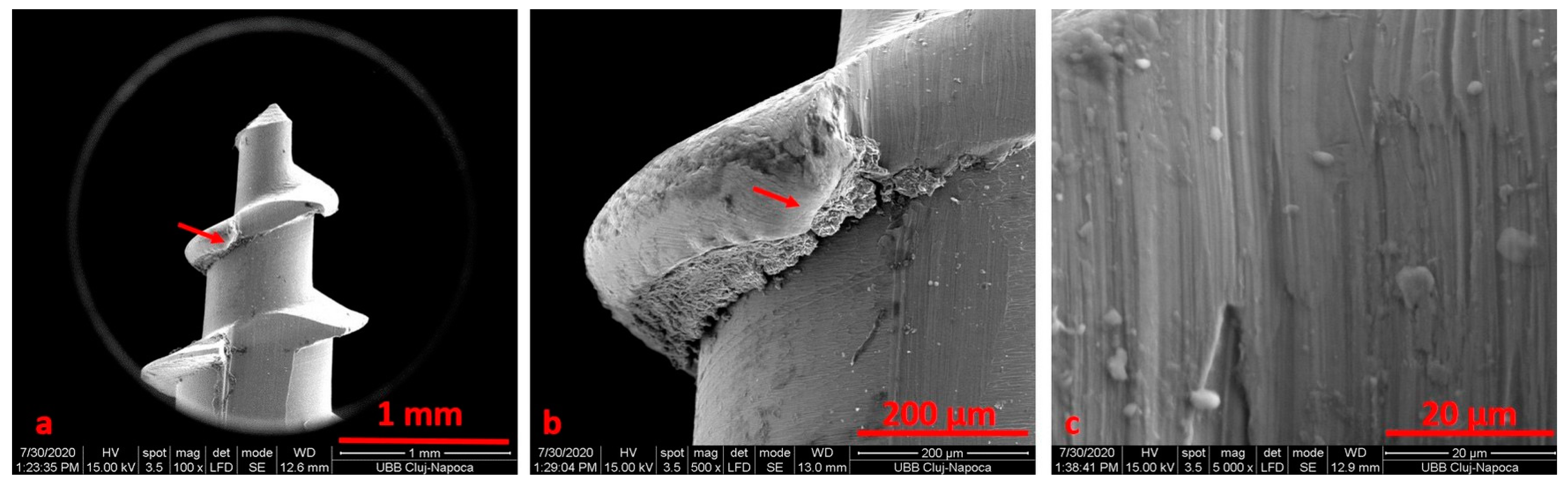 Materials 14 06271 g004