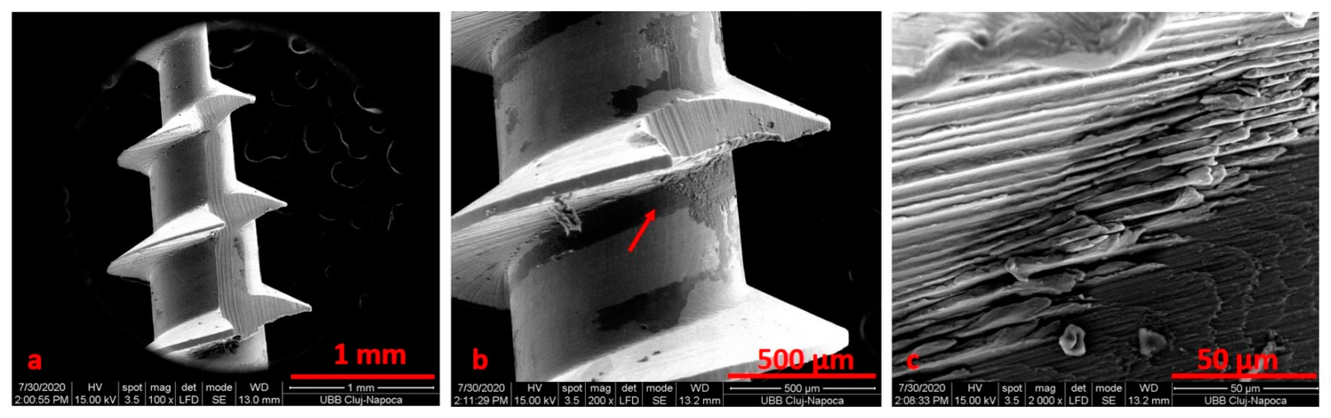 Materials 14 06271 g006