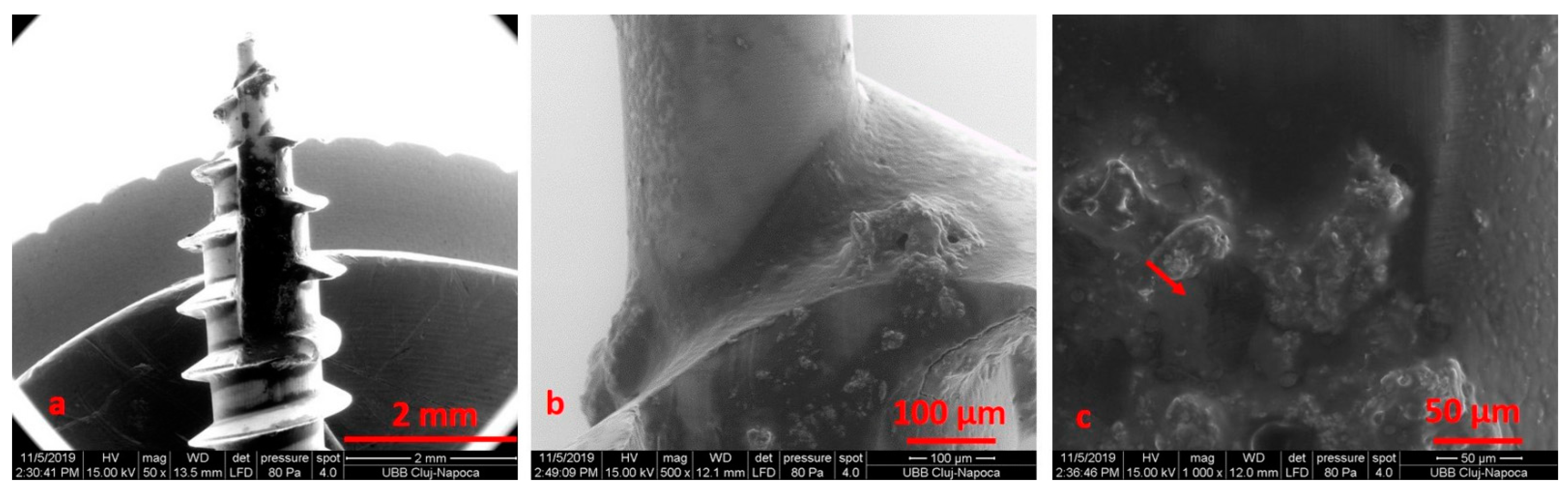 Materials 14 06271 g008