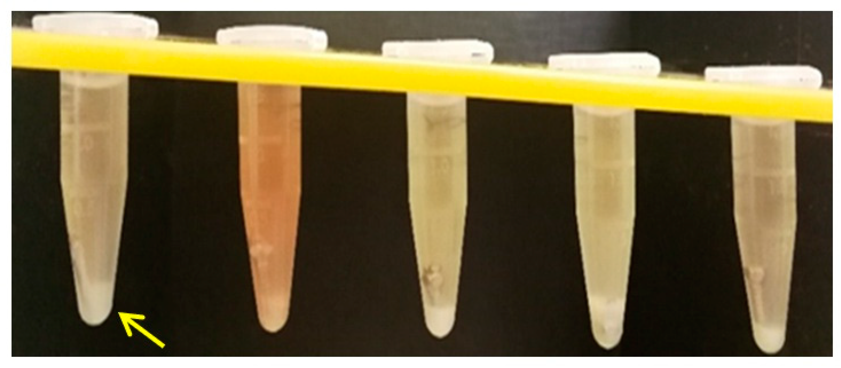 Materials 14 06271 g010