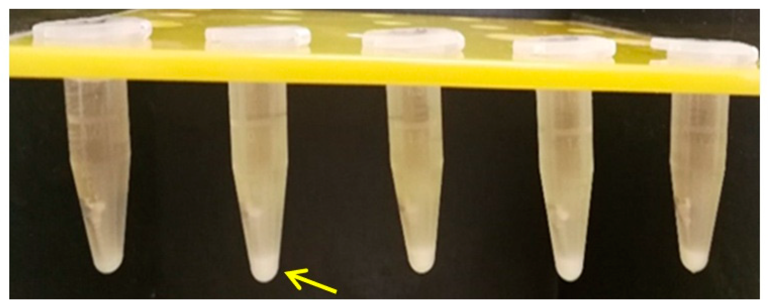 Materials 14 06271 g011