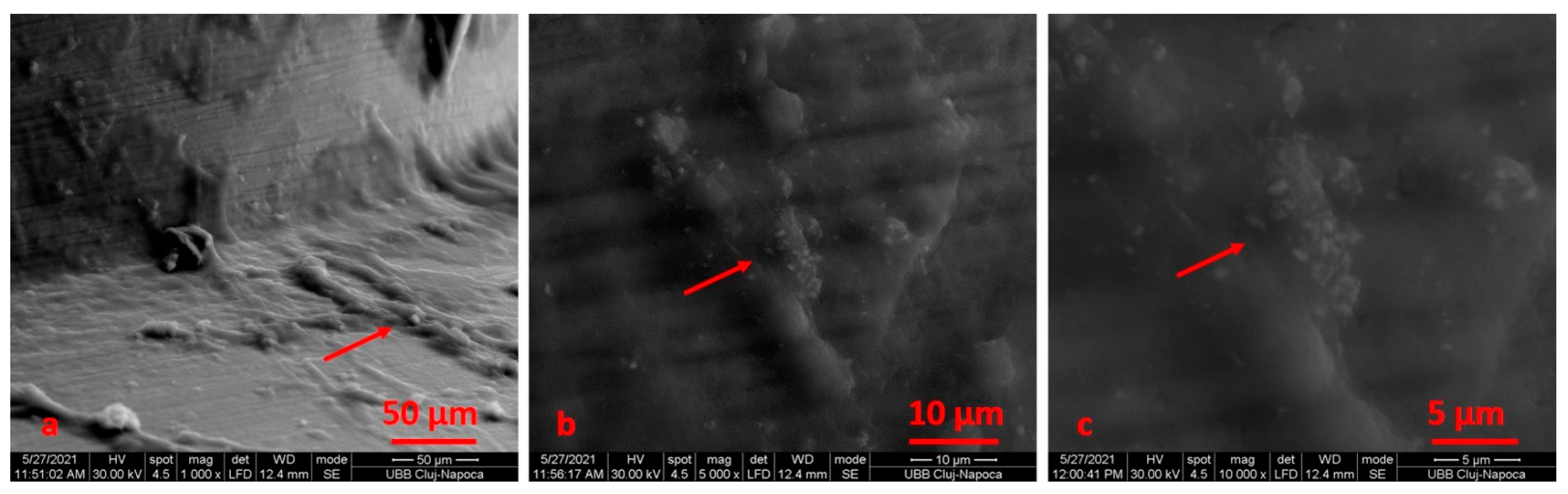 Materials 14 06271 g012