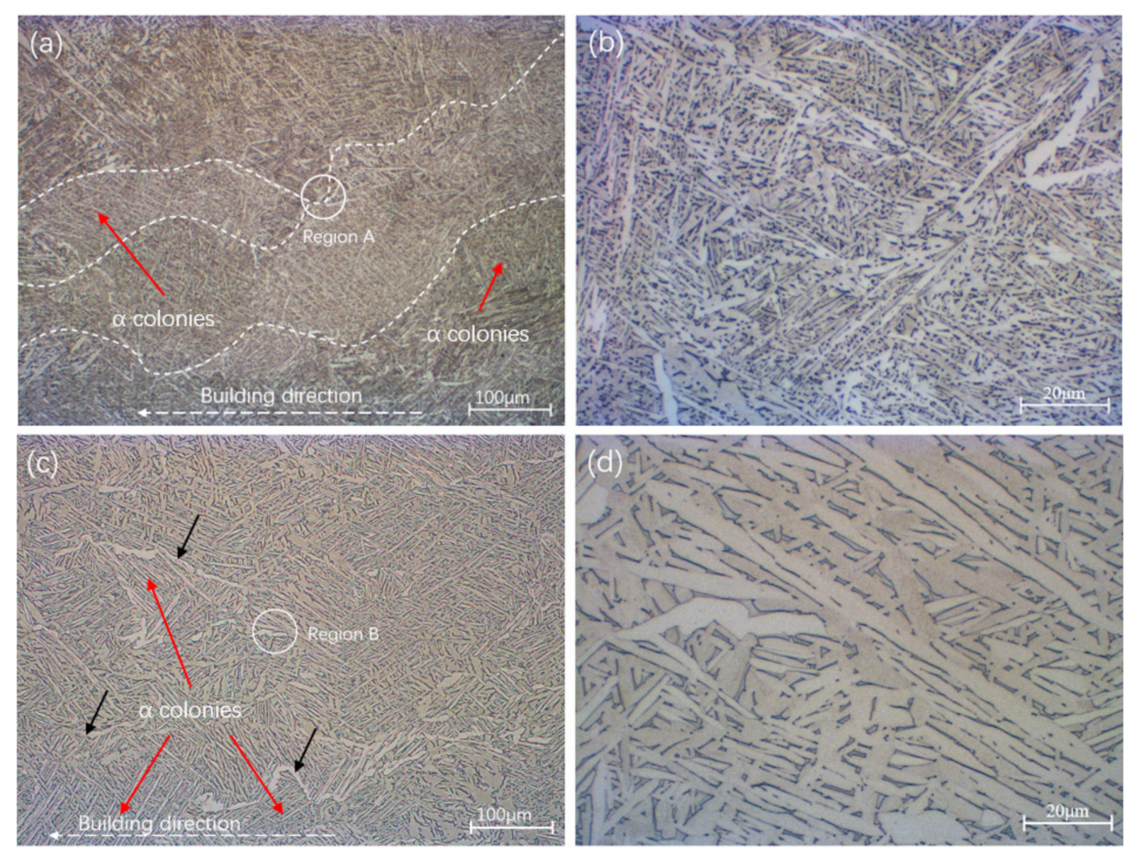 Materials 14 06276 g003