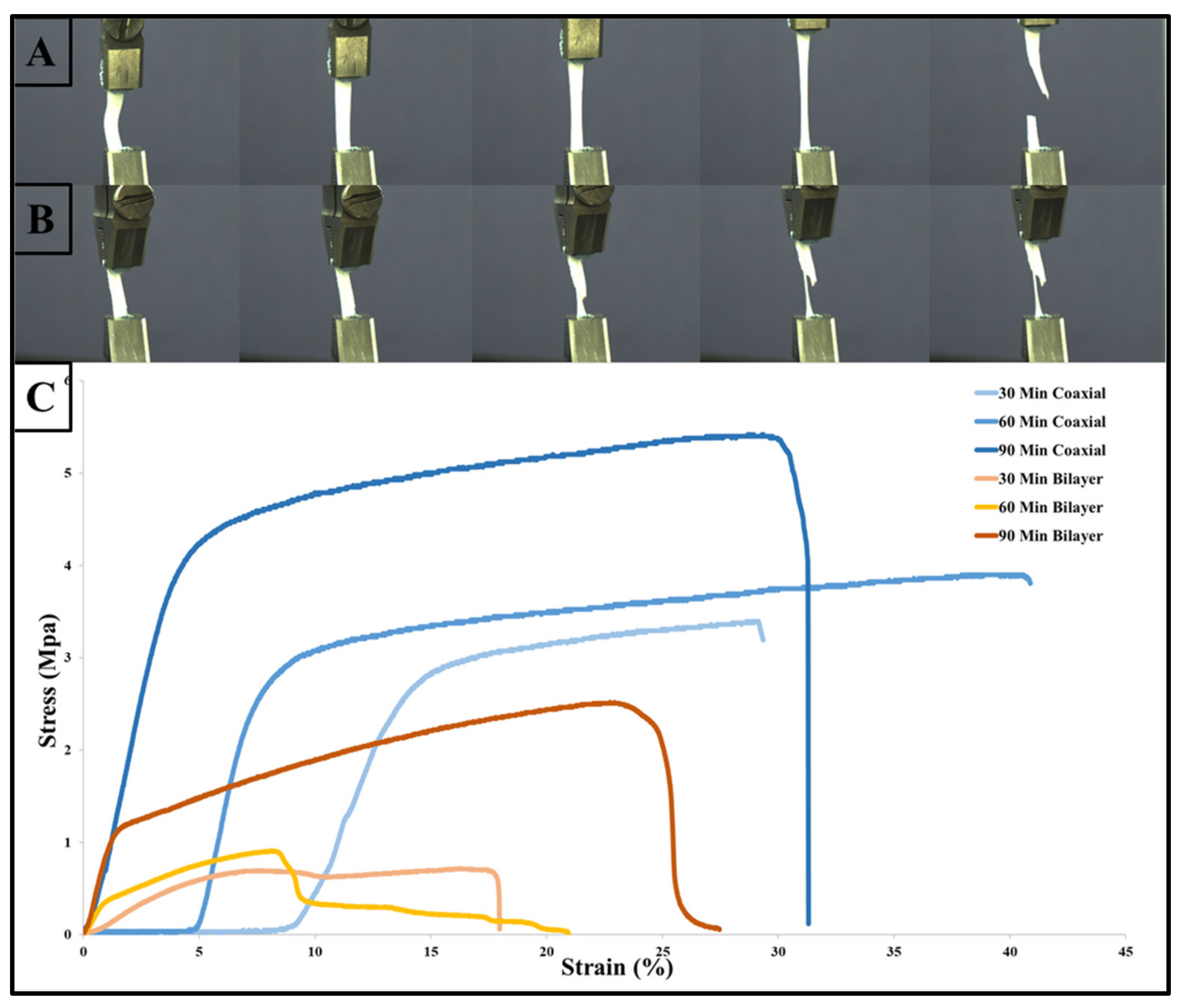 Materials 14 06295 g008