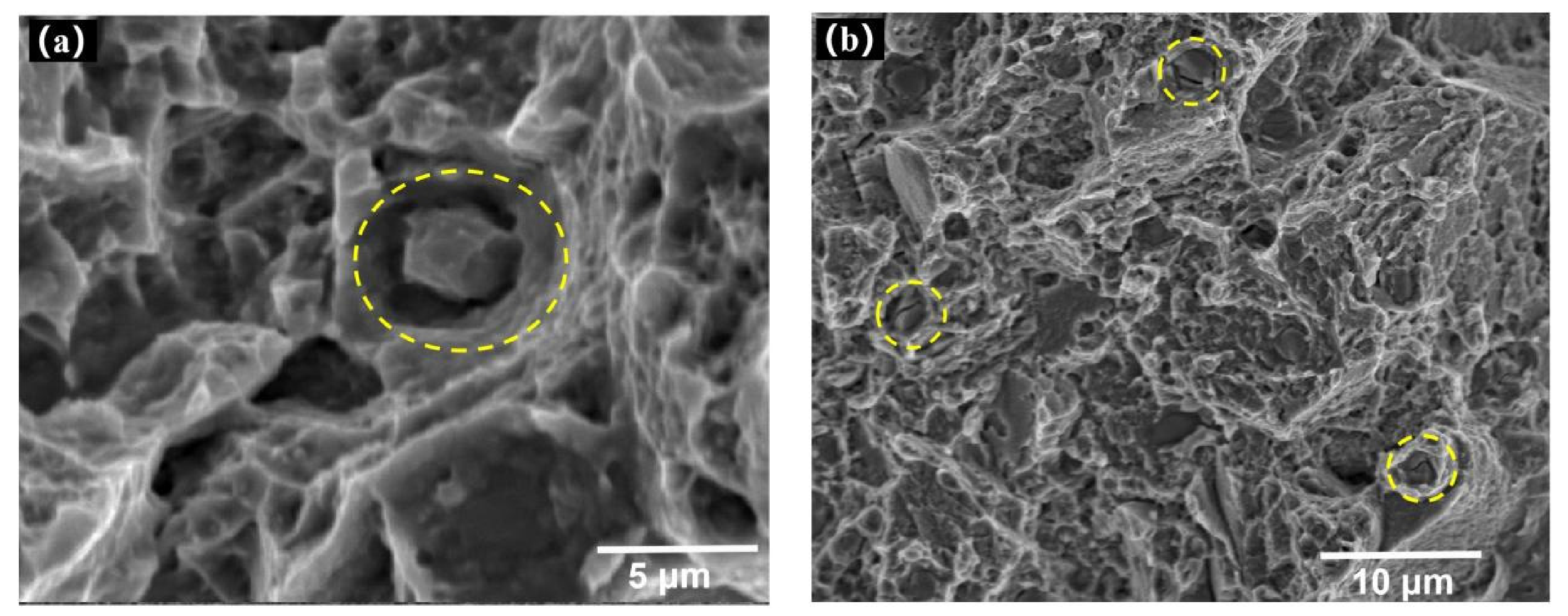 Materials 14 06298 g014