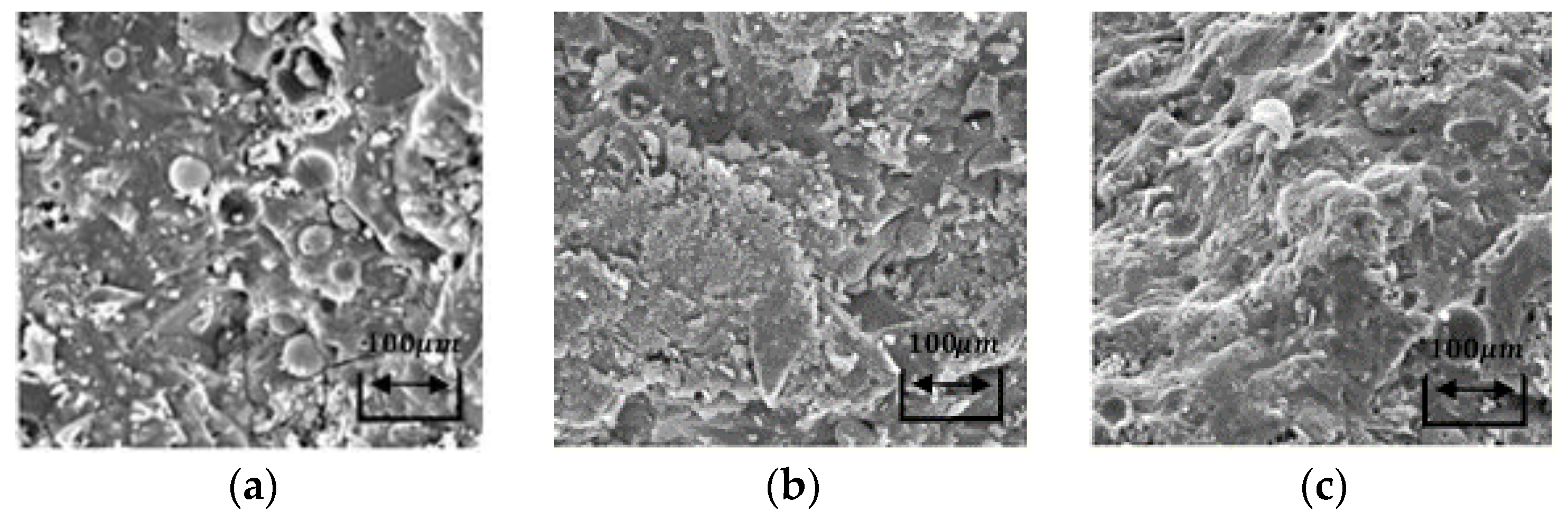 Materials 14 06299 g008