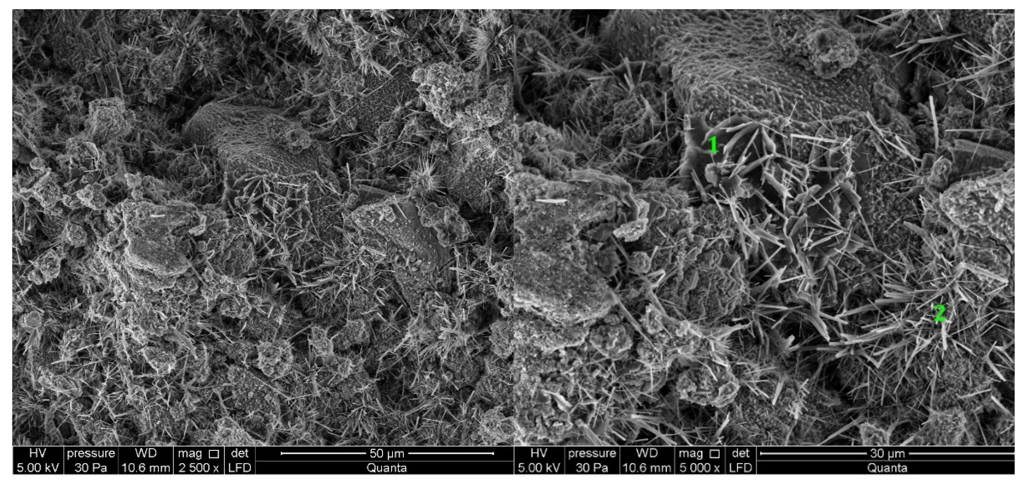 Materials 14 06300 g008a