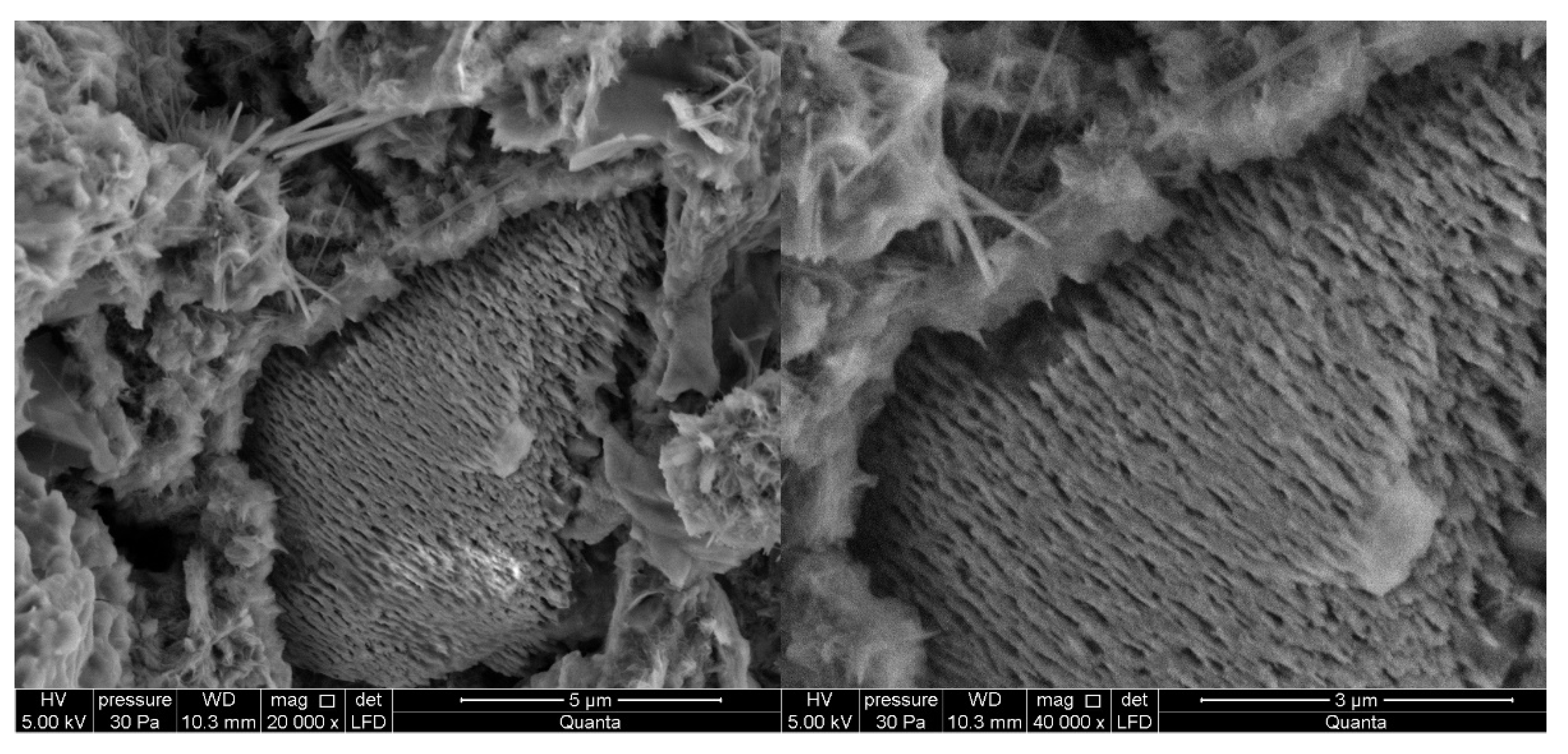 Materials 14 06300 g010b