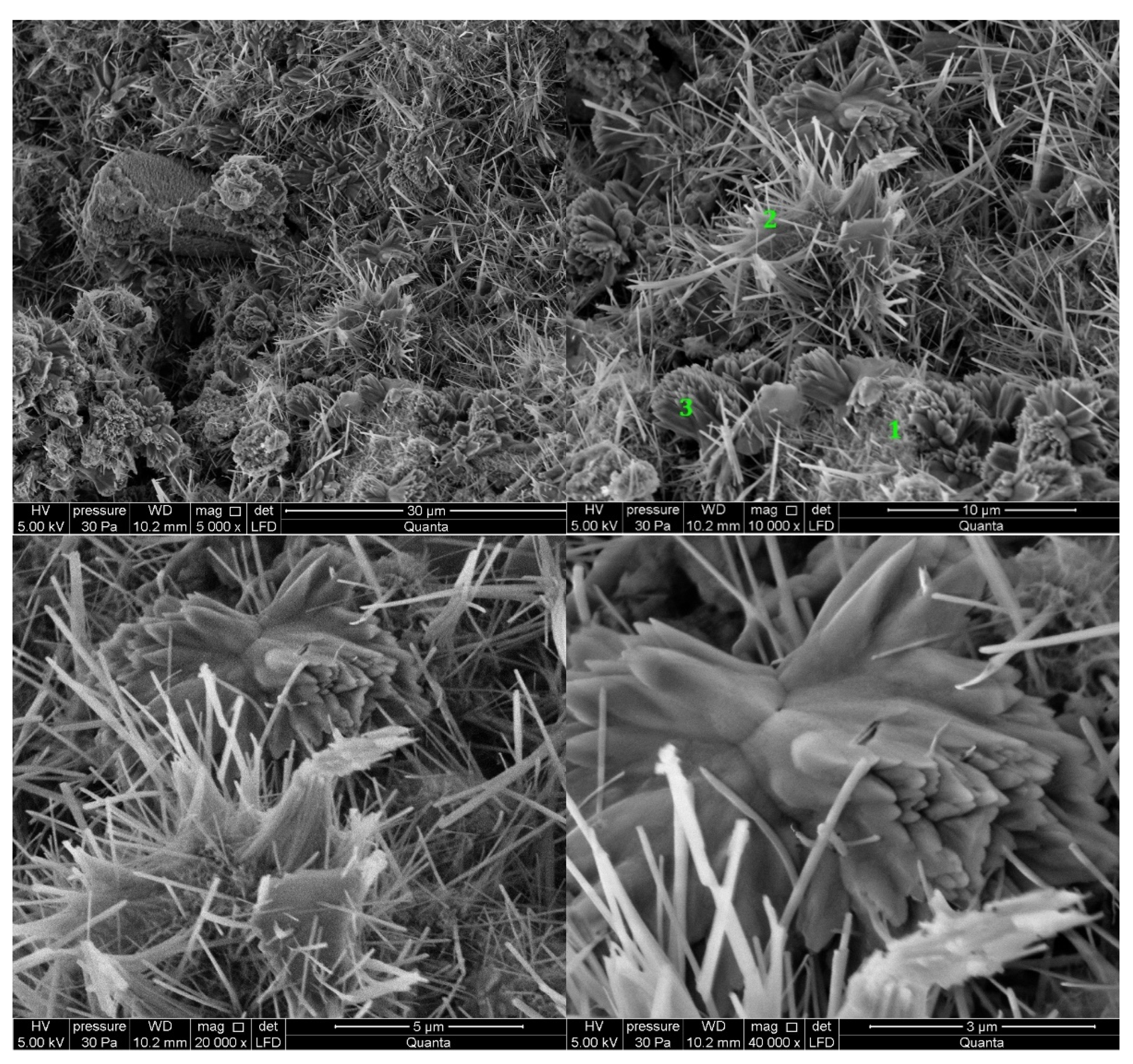 Materials 14 06300 g013