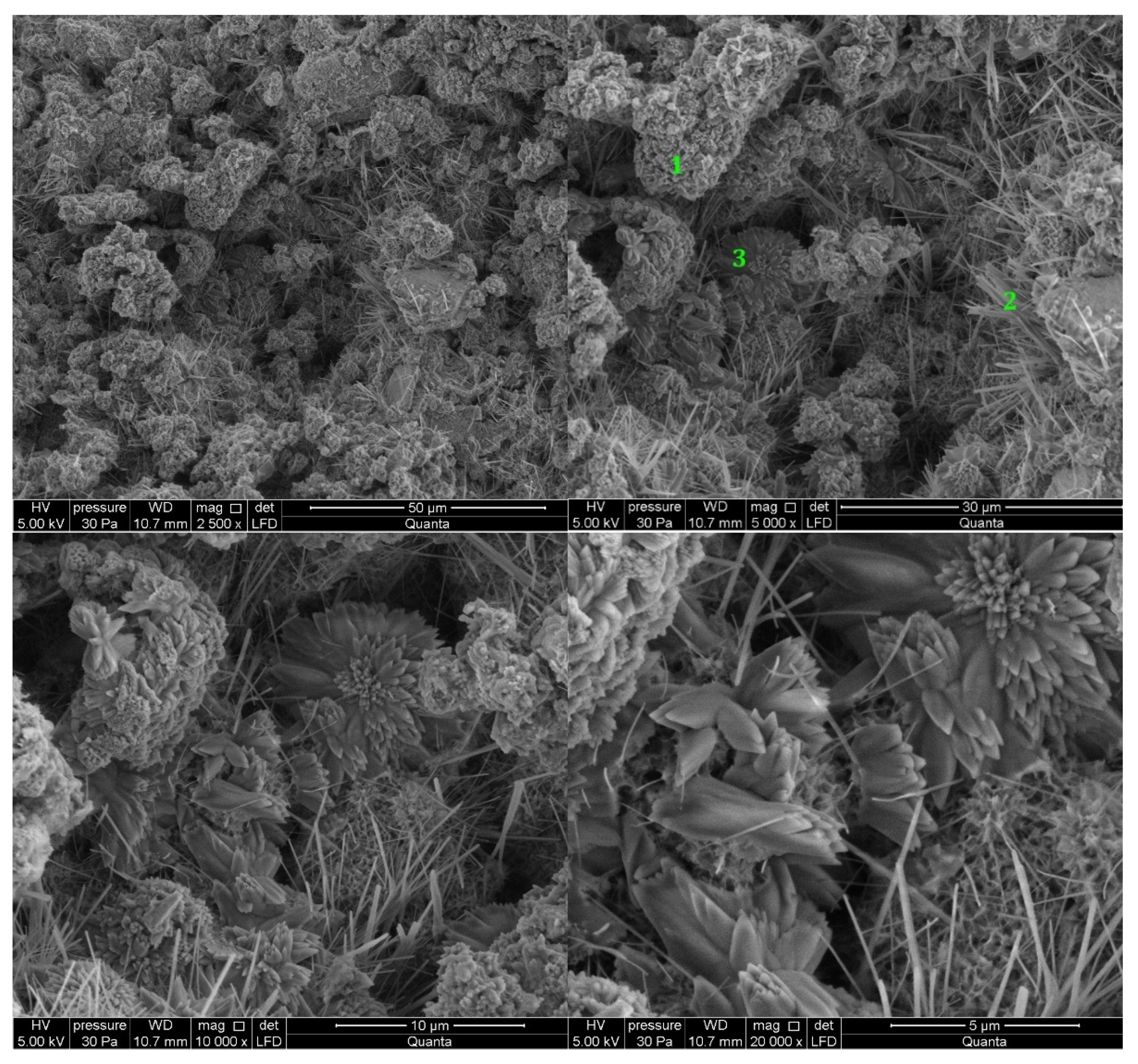 Materials 14 06300 g014