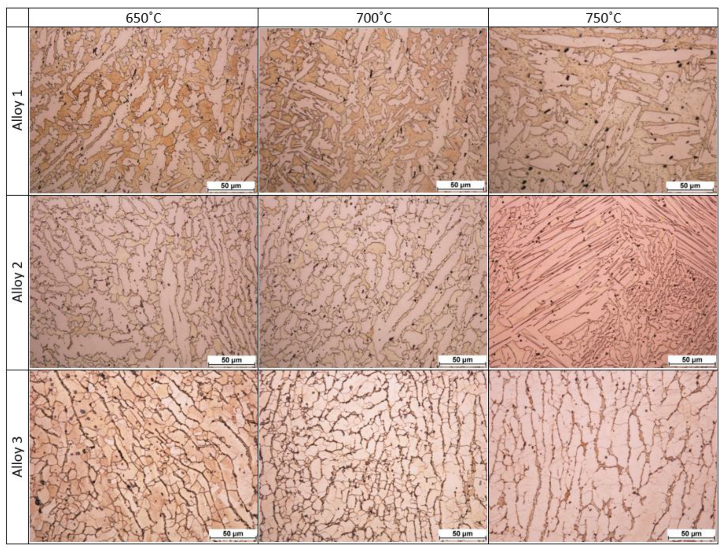 Materials 14 06301 g011