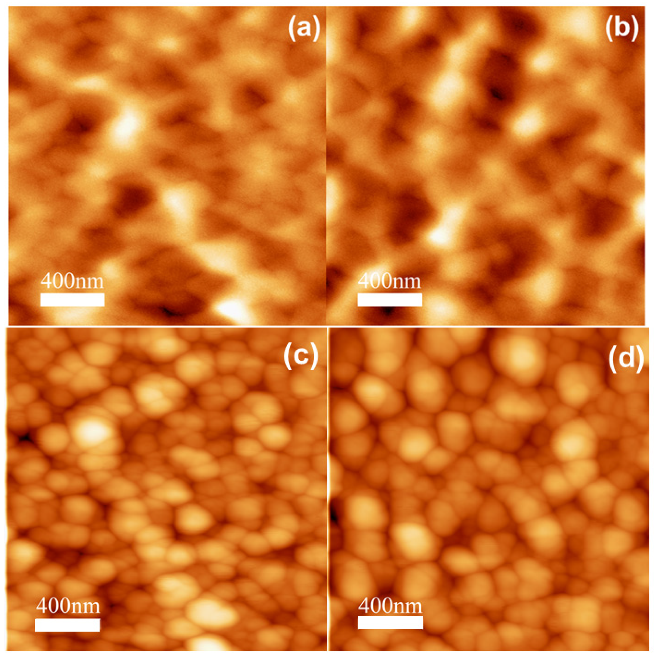 Materials 14 06304 g005