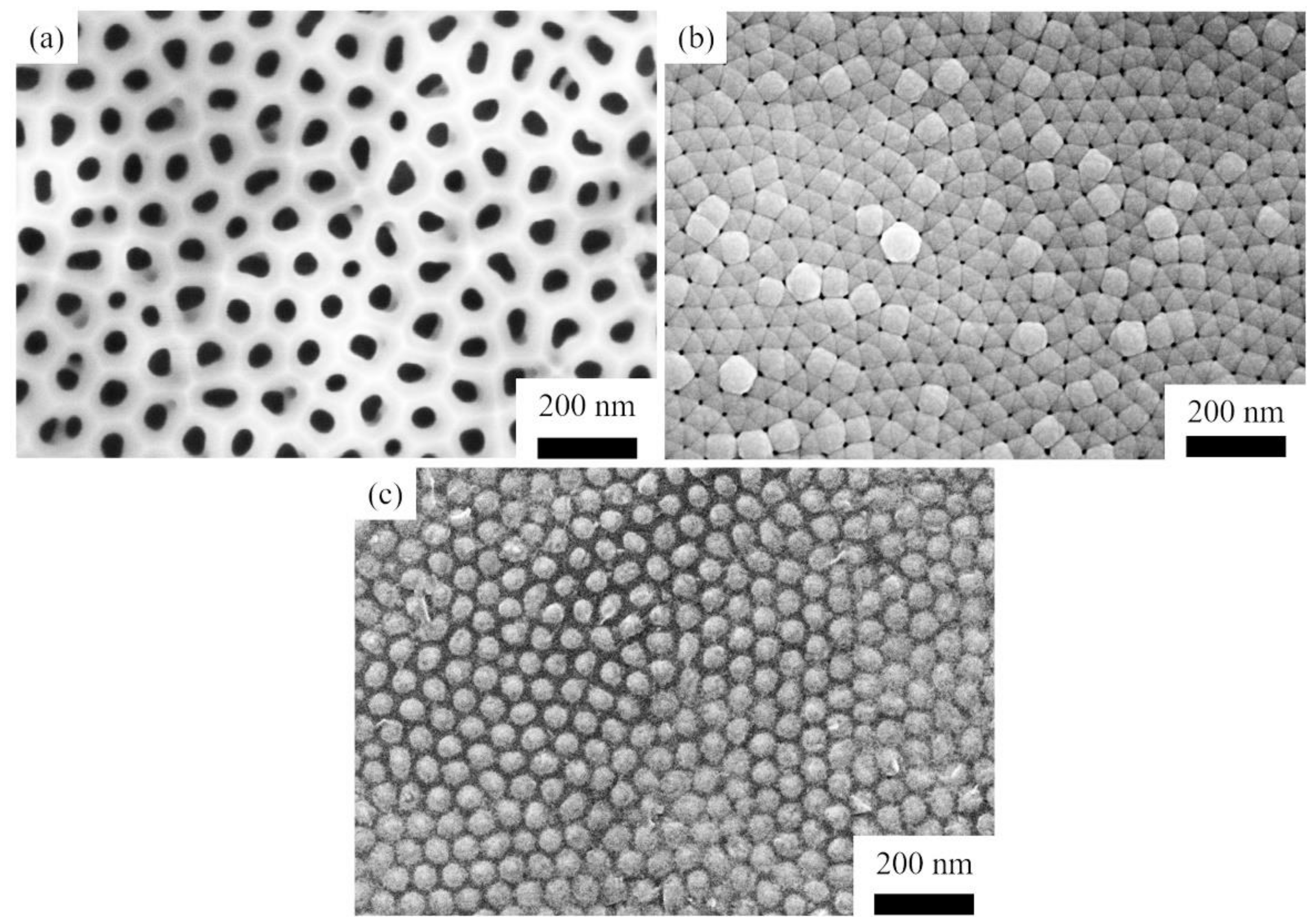 Materials 14 06317 g001