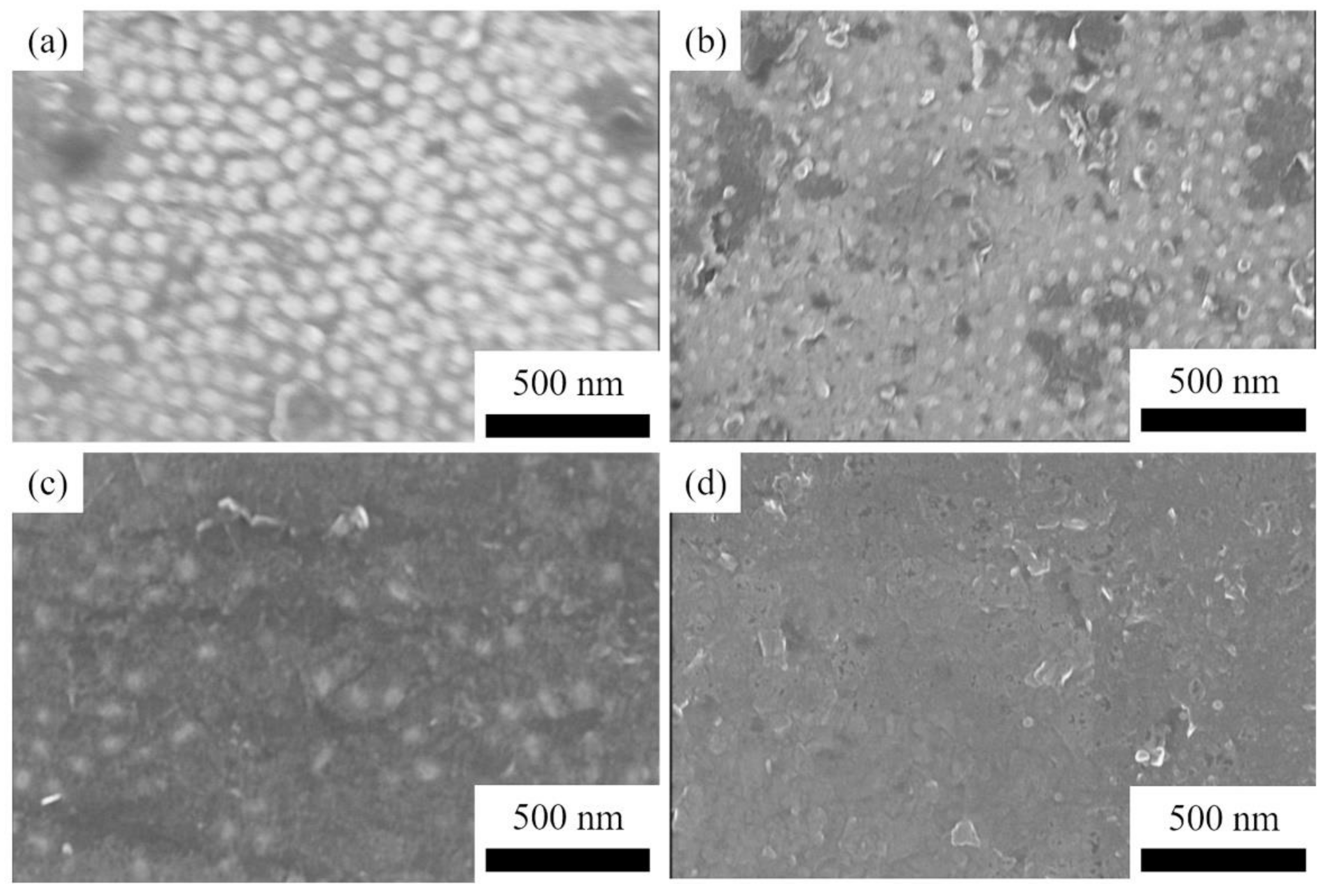 Materials 14 06317 g004