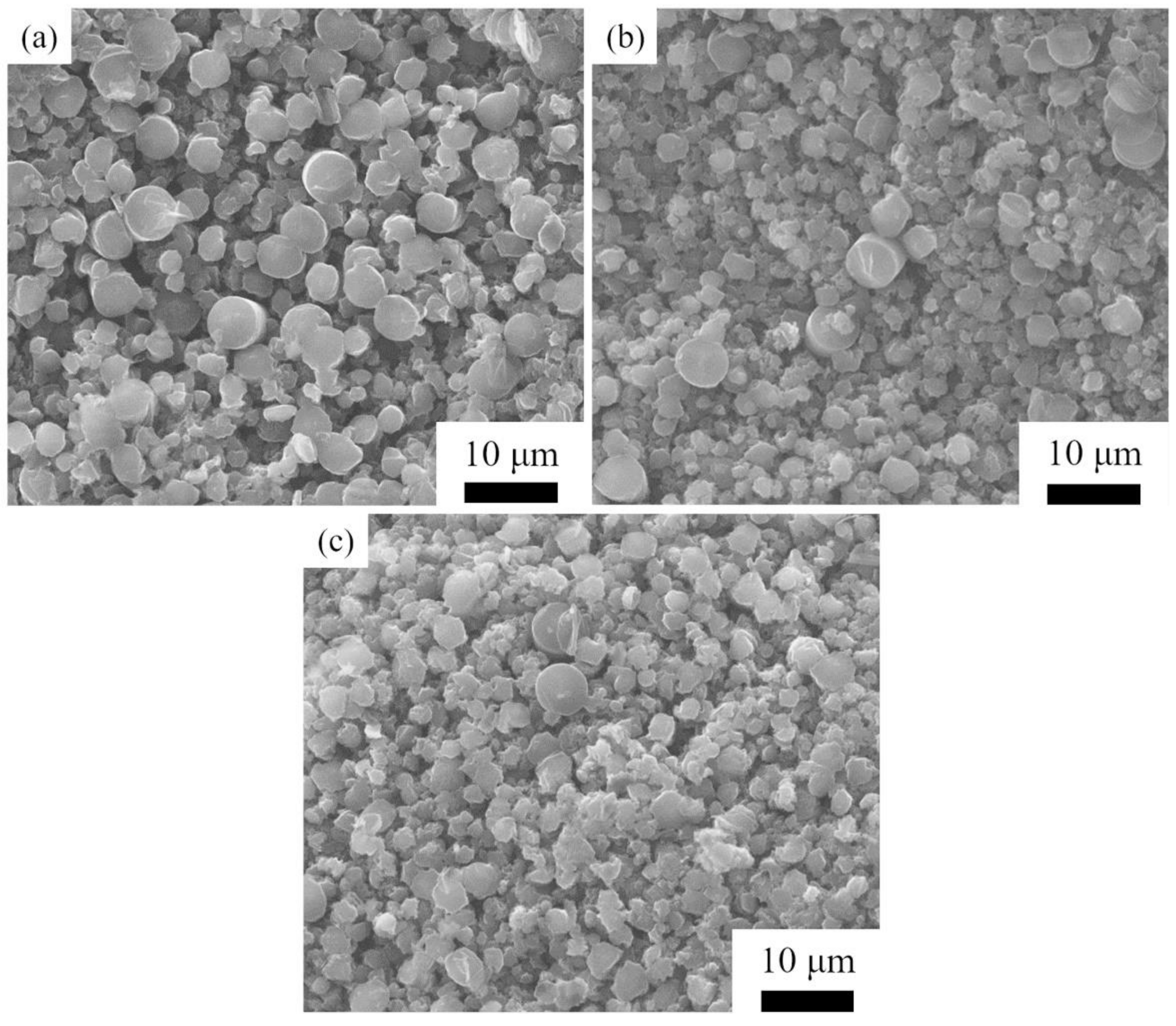 Materials 14 06317 g006