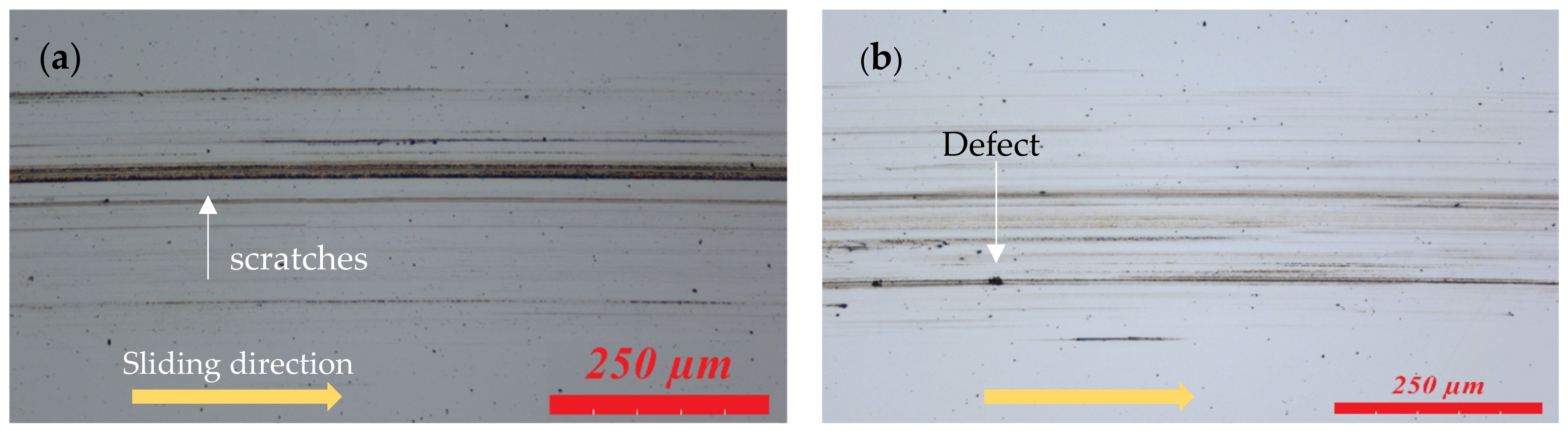 Materials 14 06318 g005a