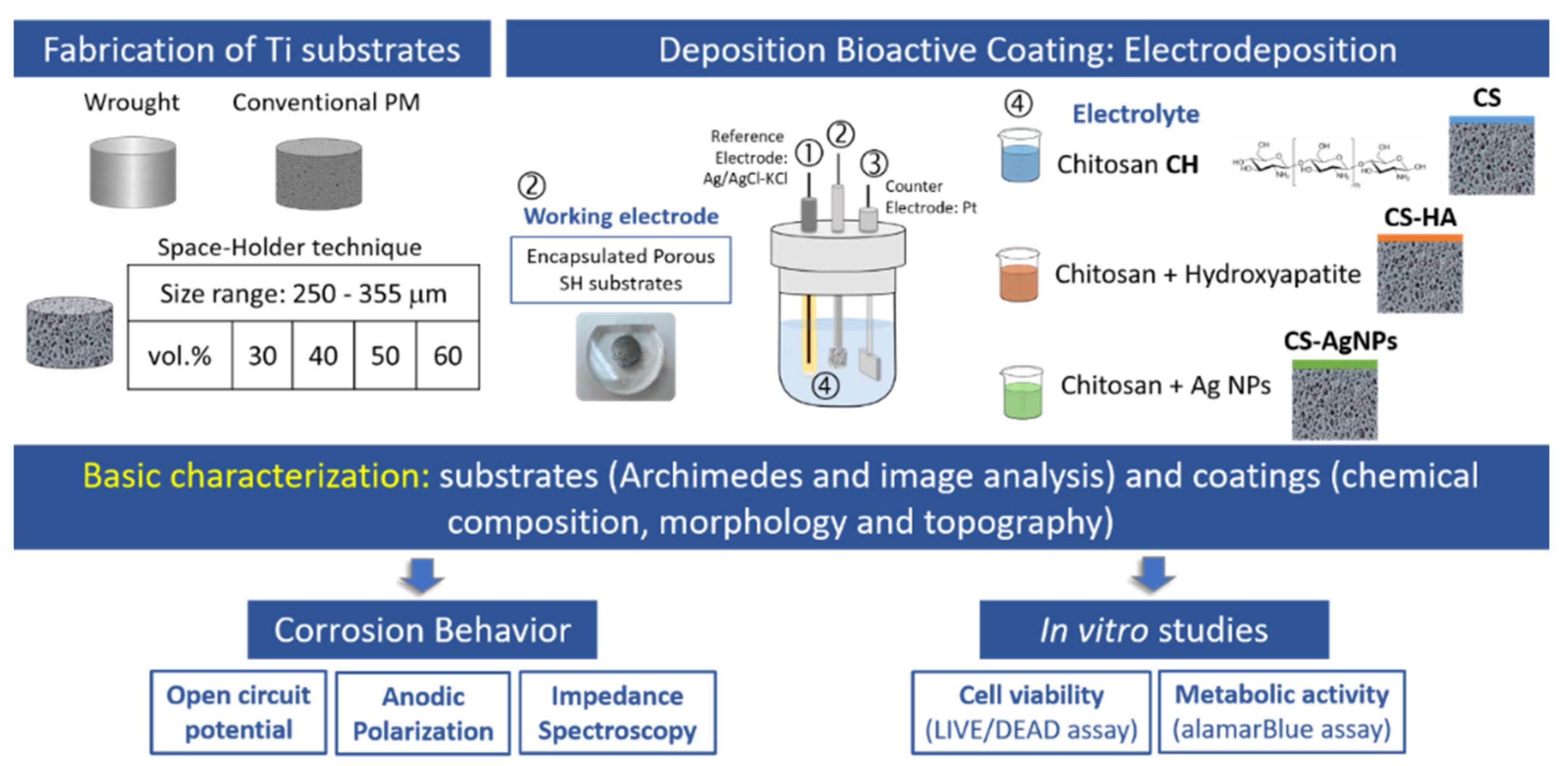Materials 14 06322 g001