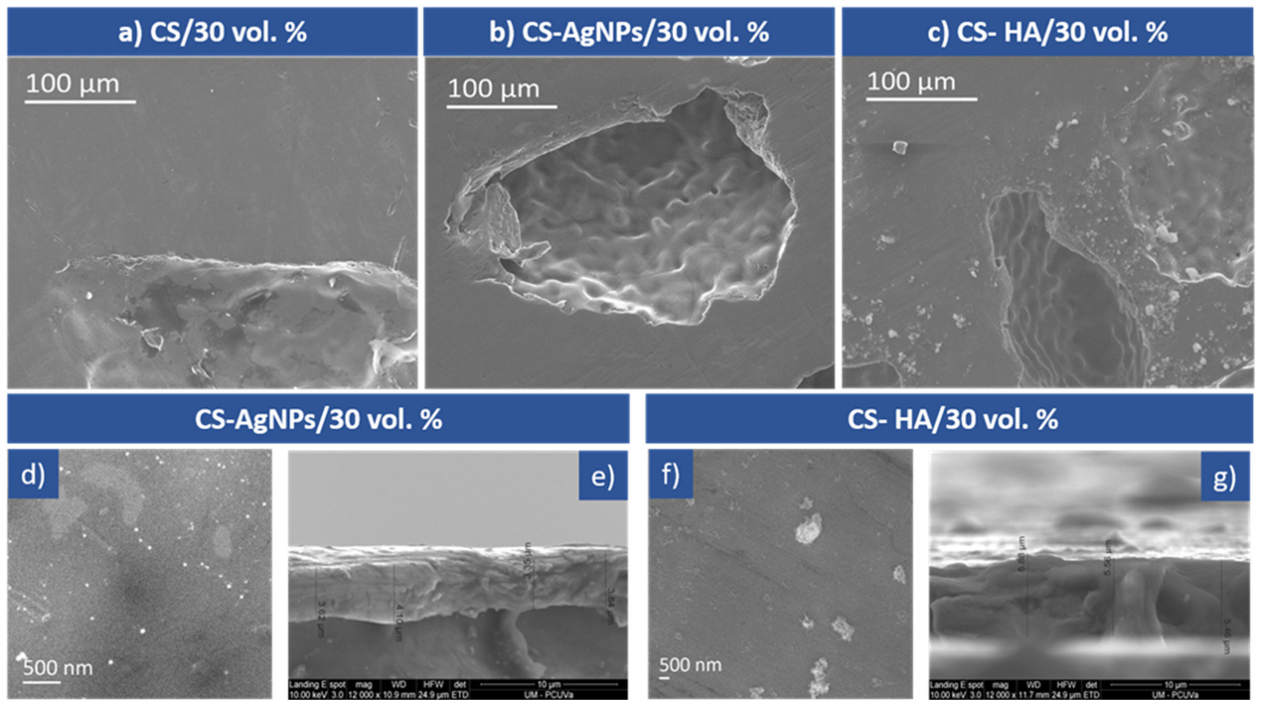 Materials 14 06322 g002