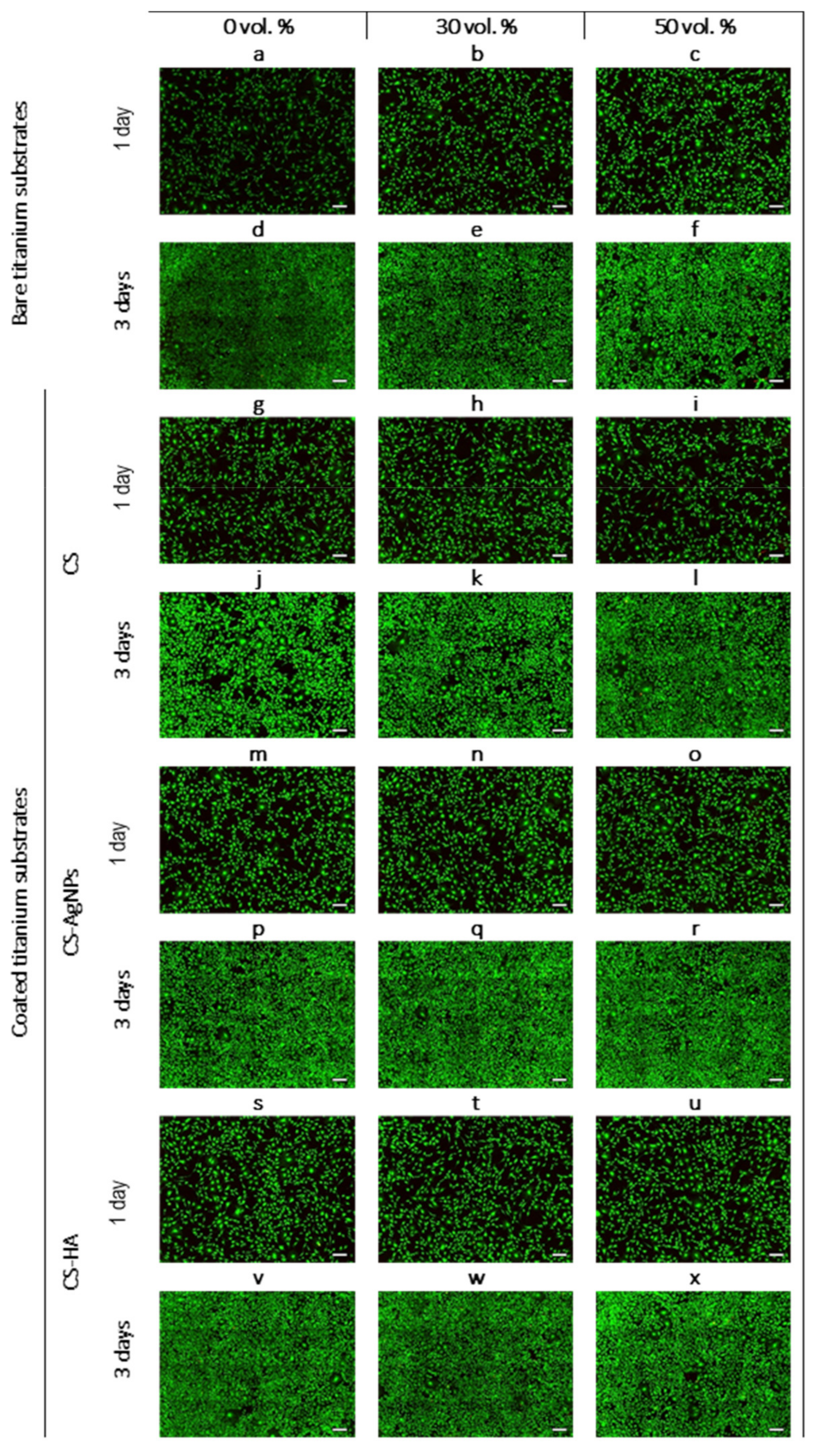 Materials 14 06322 g010