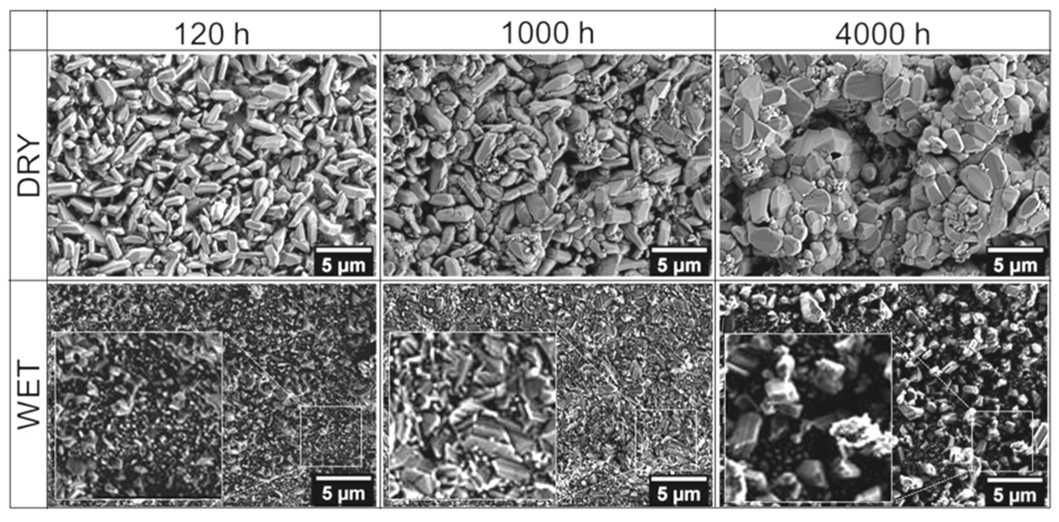 Materials 14 06327 g003