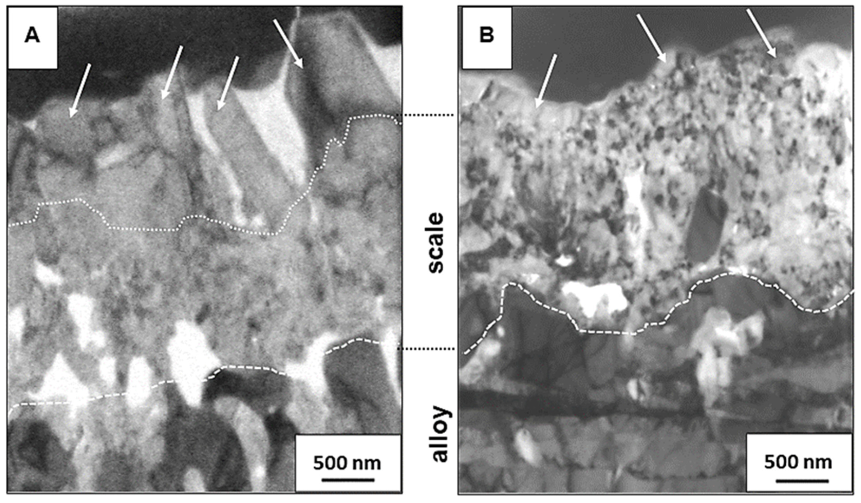 Materials 14 06327 g005