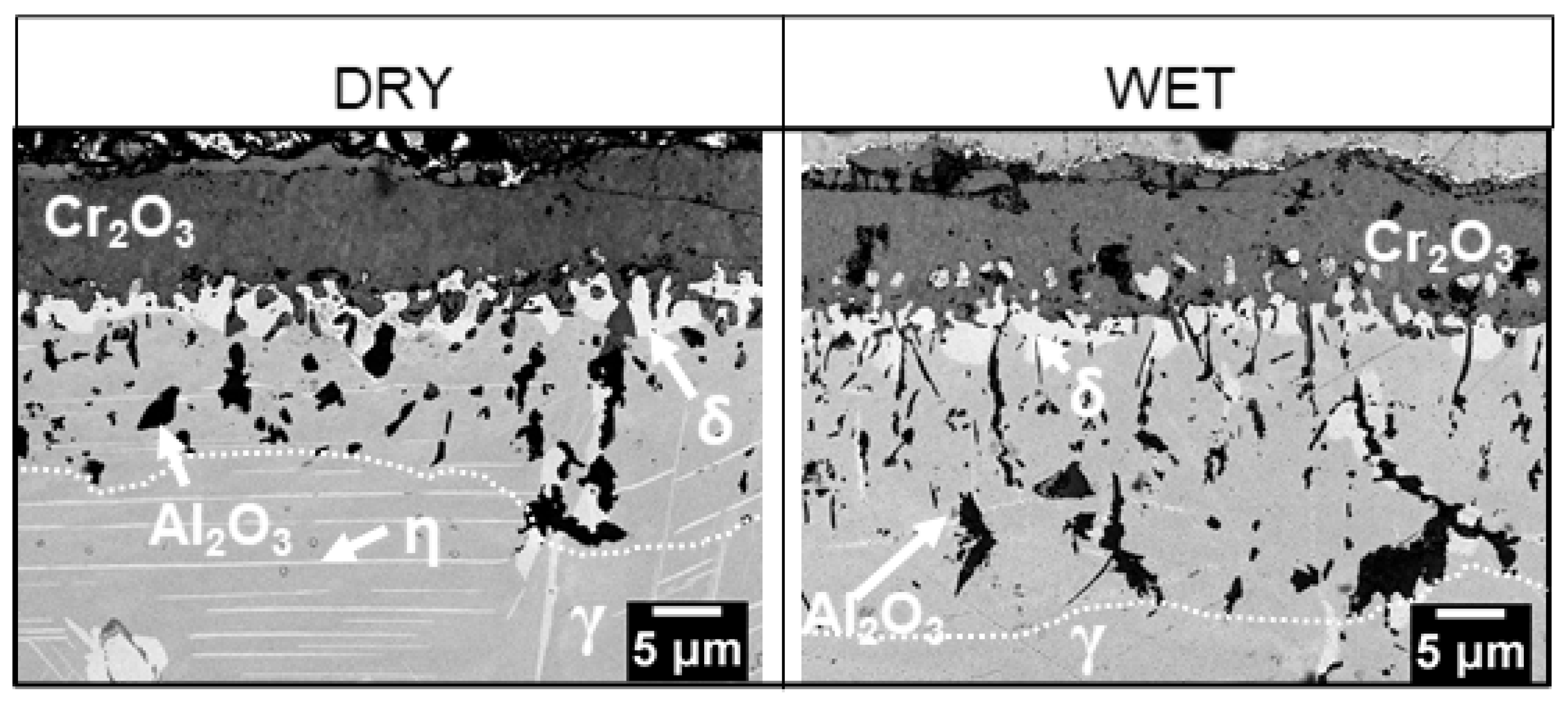 Materials 14 06327 g010