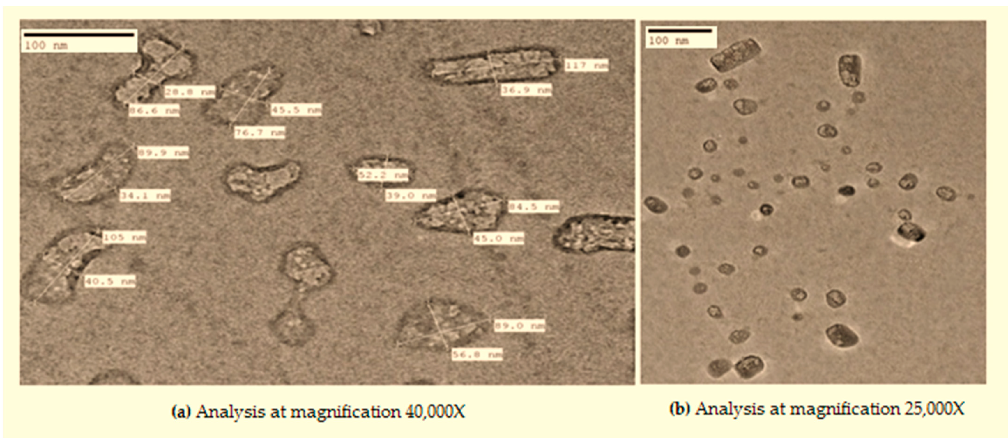 Materials 14 06336 g003